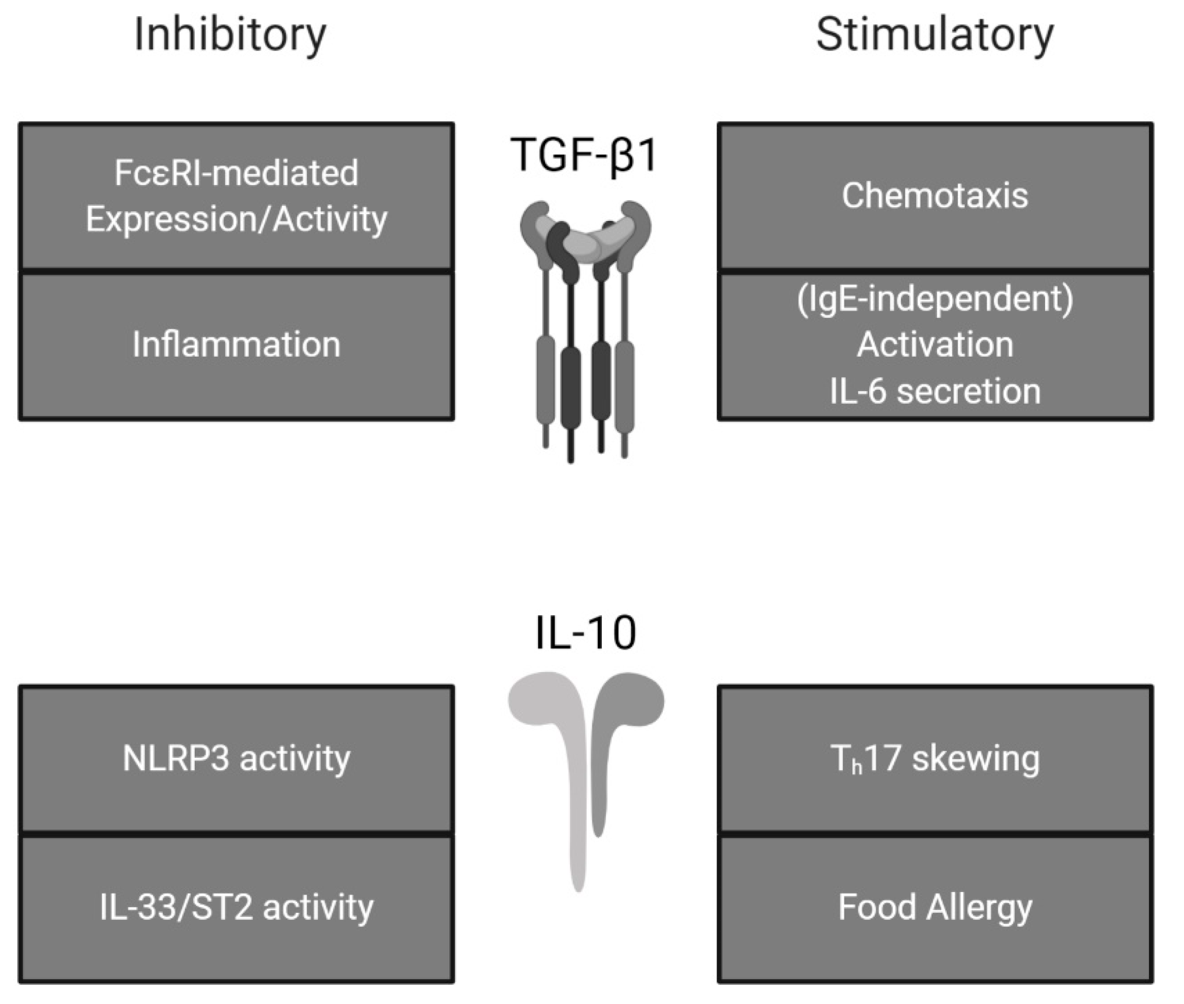 Ijms 21 01498 g002 Ijms 21 01498 g002