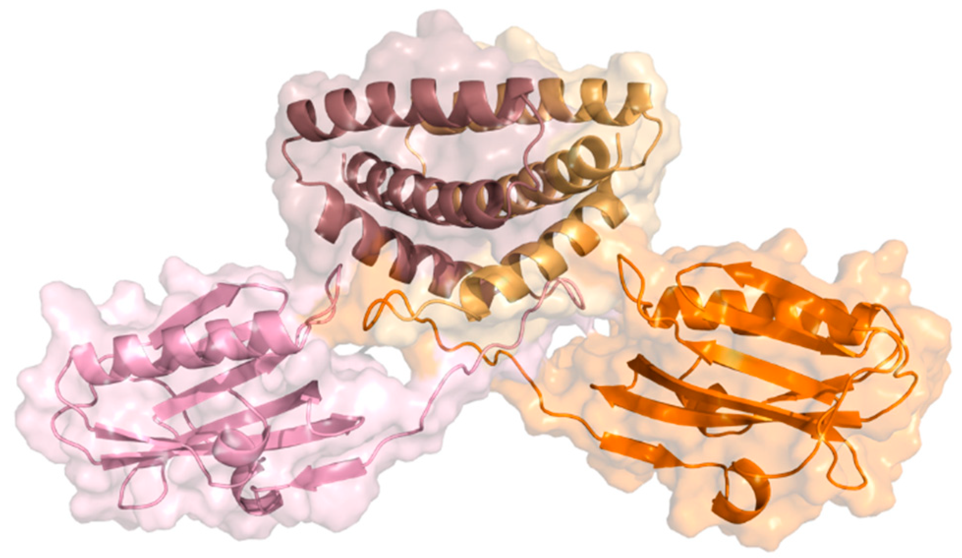 Ijms 21 01511 g002 Ijms 21 01511 g002