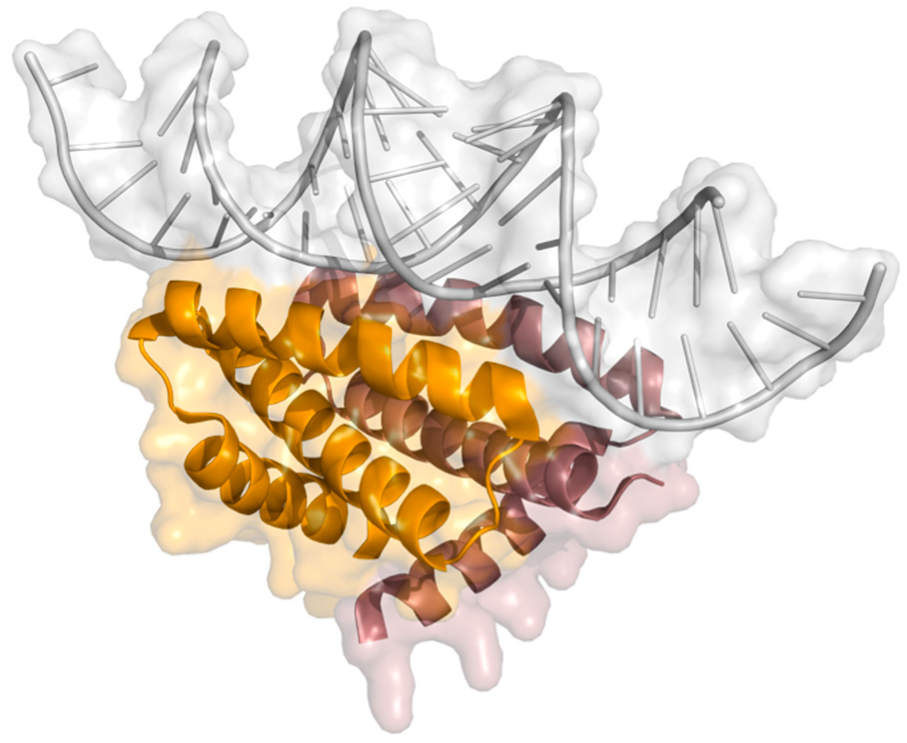 Ijms 21 01511 g004 Ijms 21 01511 g004