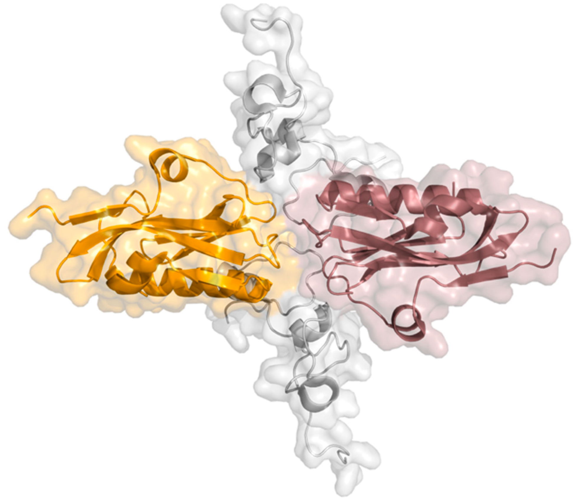 Ijms 21 01511 g006 Ijms 21 01511 g006