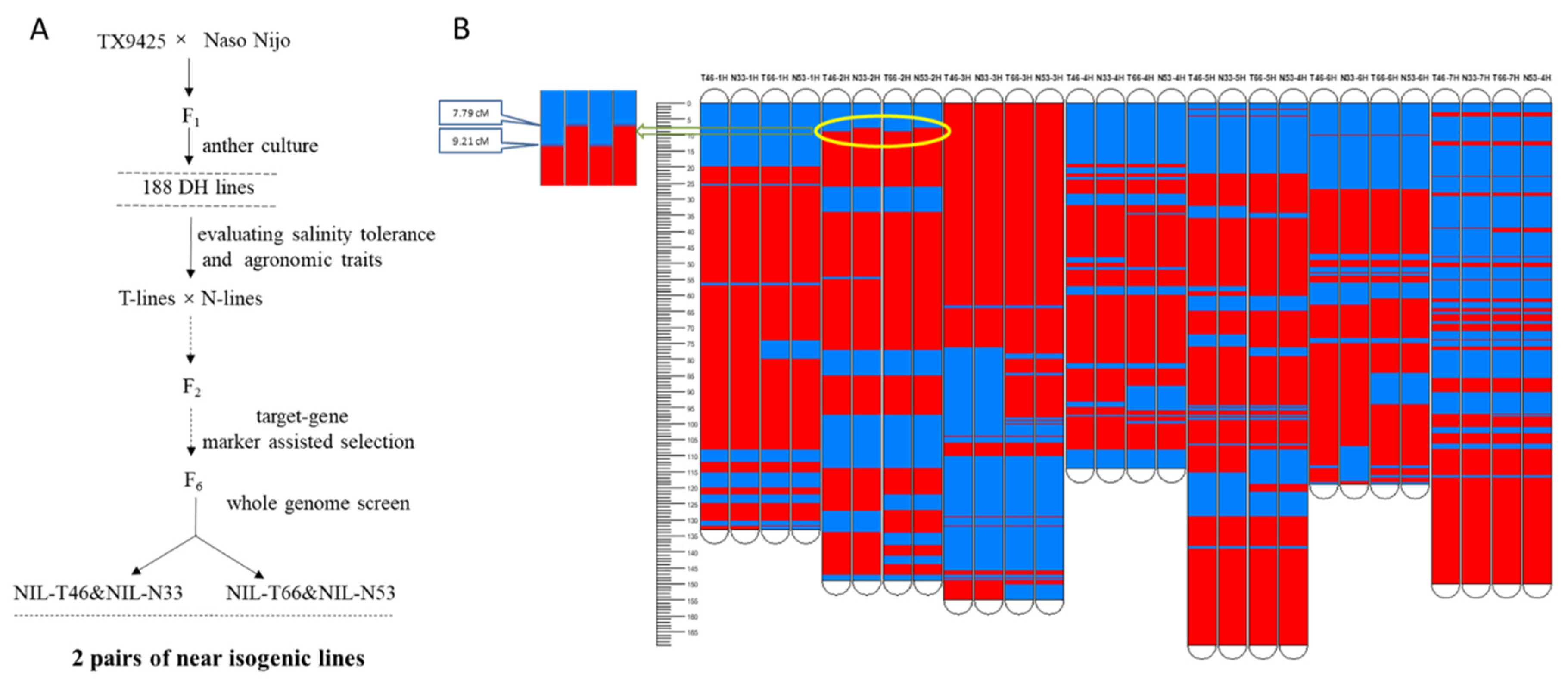Ijms 21 01516 g001 Ijms 21 01516 g001