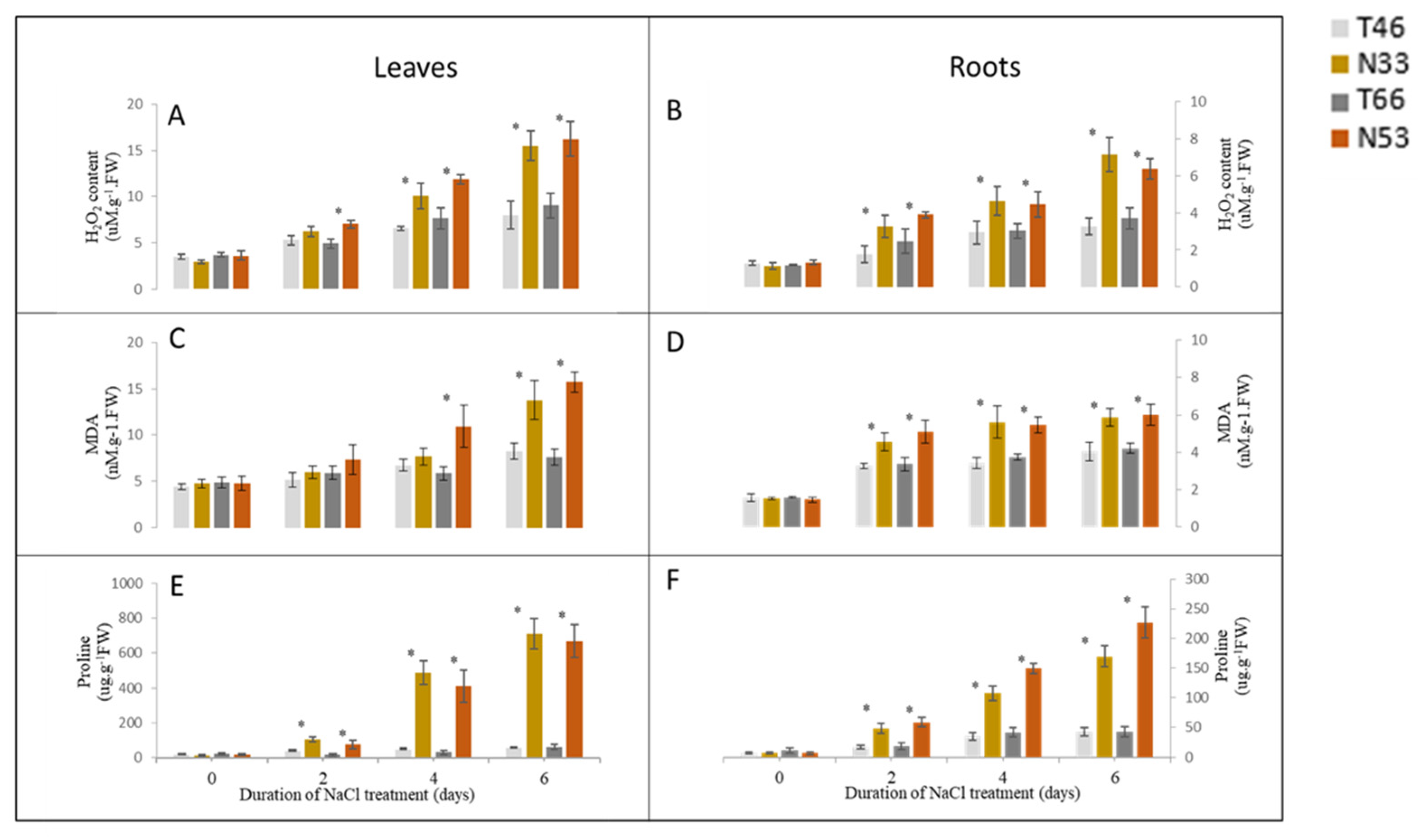 Ijms 21 01516 g004 Ijms 21 01516 g004