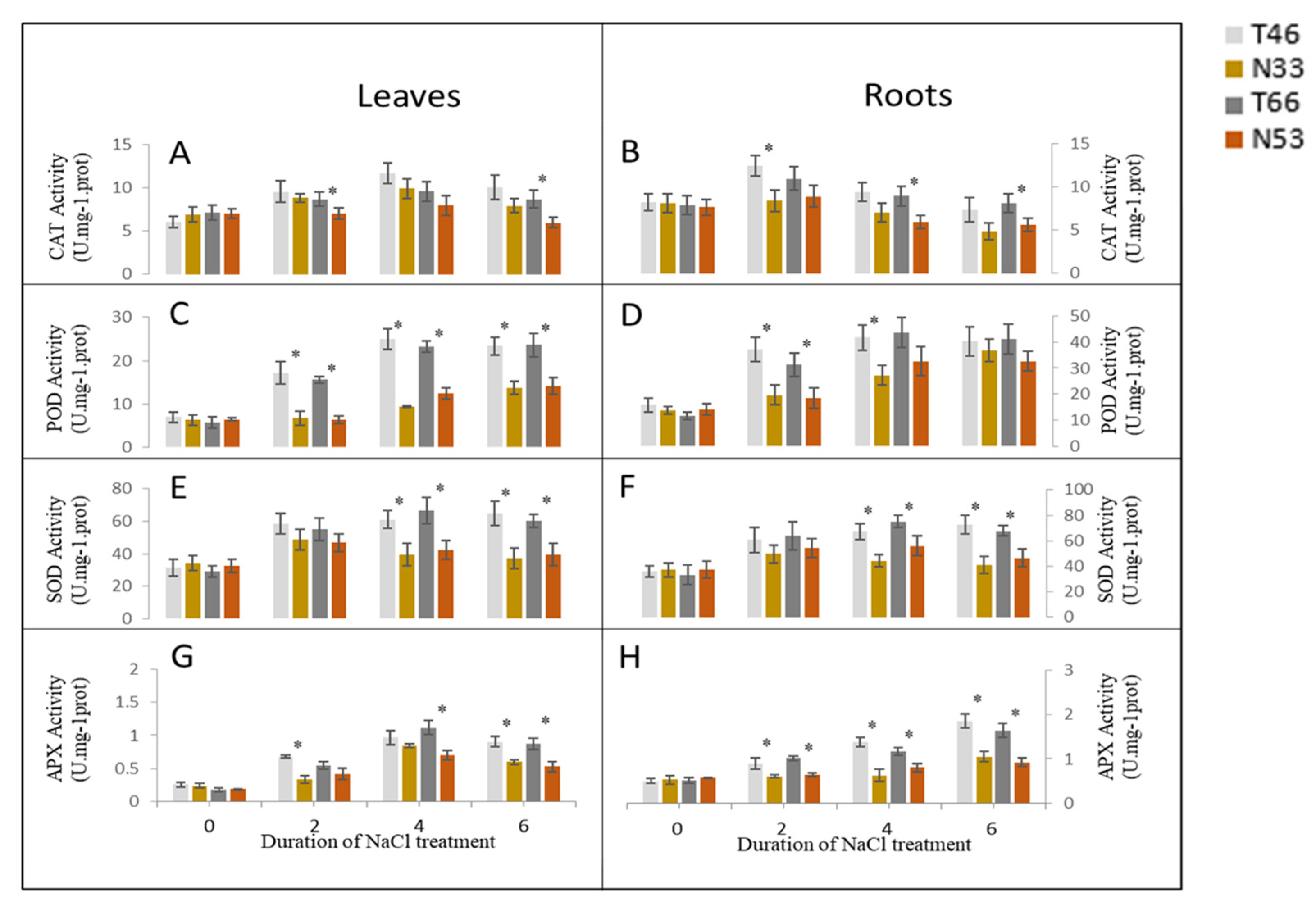 Ijms 21 01516 g005 Ijms 21 01516 g005
