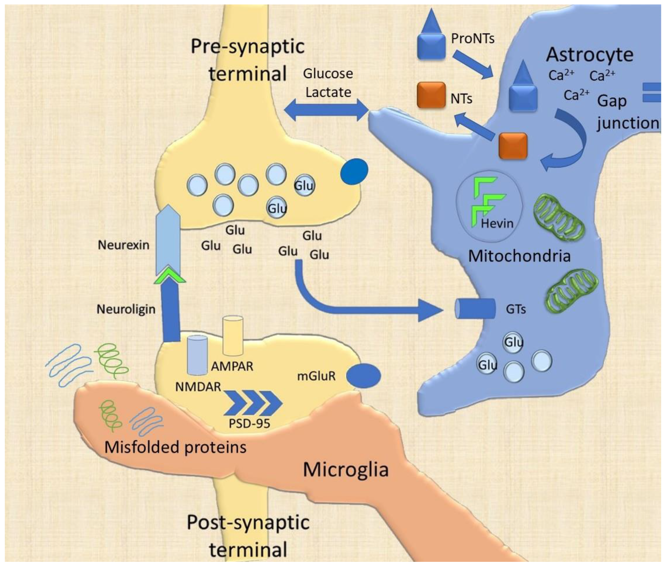 Ijms 21 01539 g002 Ijms 21 01539 g002