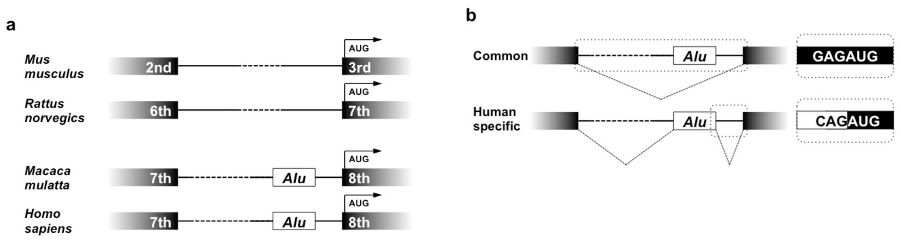 Ijms 21 01564 g005 Ijms 21 01564 g005