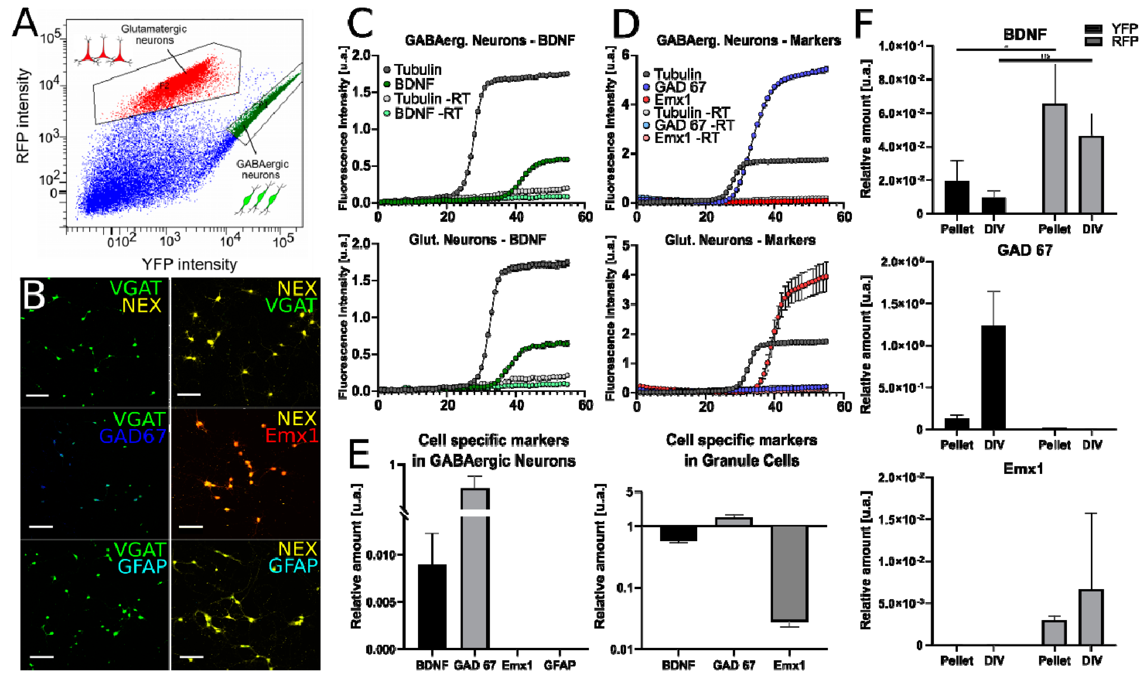 Ijms 21 01567 g007 Ijms 21 01567 g007