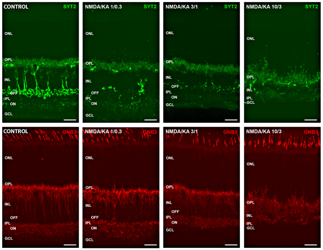 Ijms 21 01570 g006 Ijms 21 01570 g006