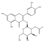 Ijms 21 01585 i008 Ijms 21 01585 i008