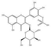 Ijms 21 01585 i009 Ijms 21 01585 i009