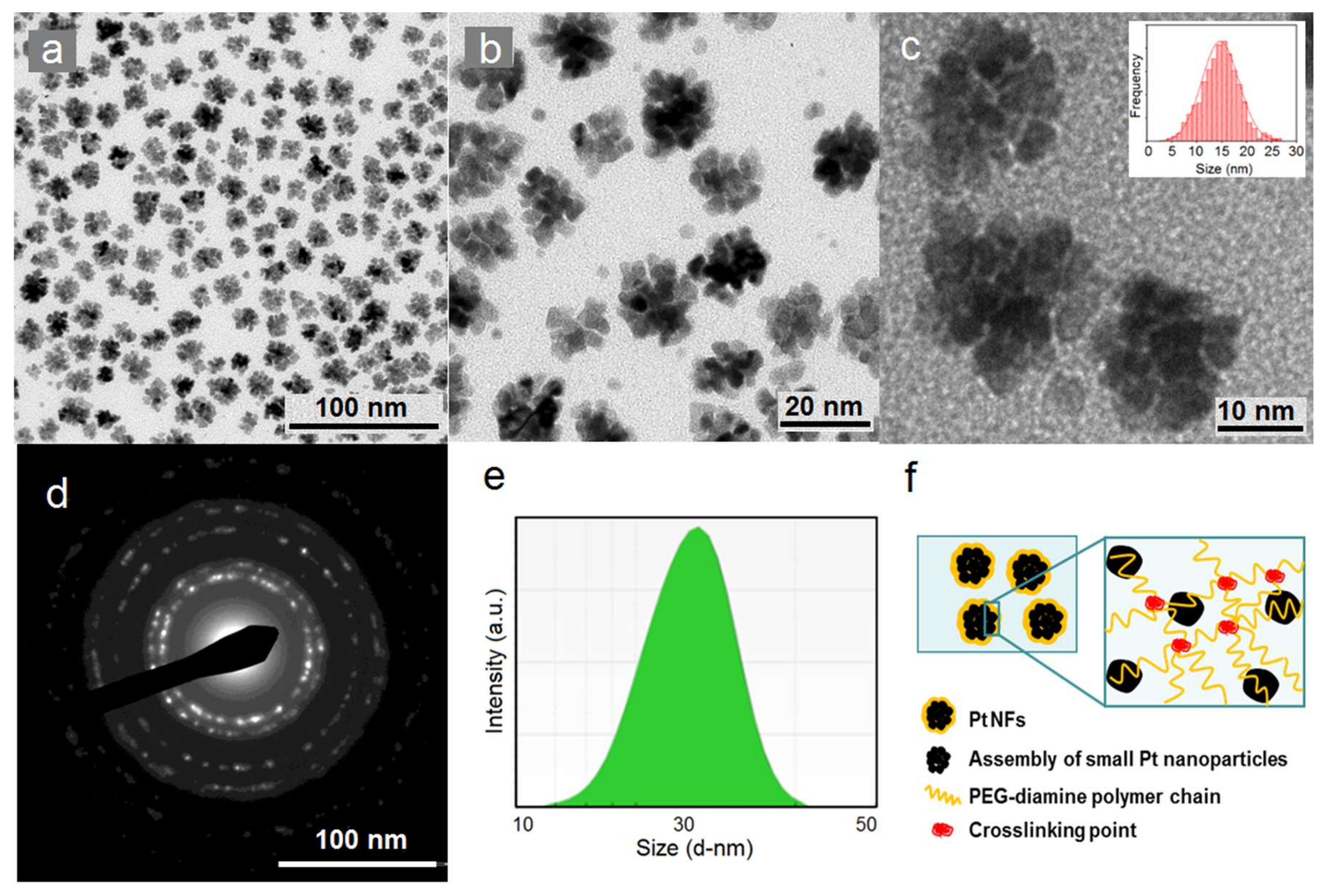 Ijms 21 01619 g002 Ijms 21 01619 g002