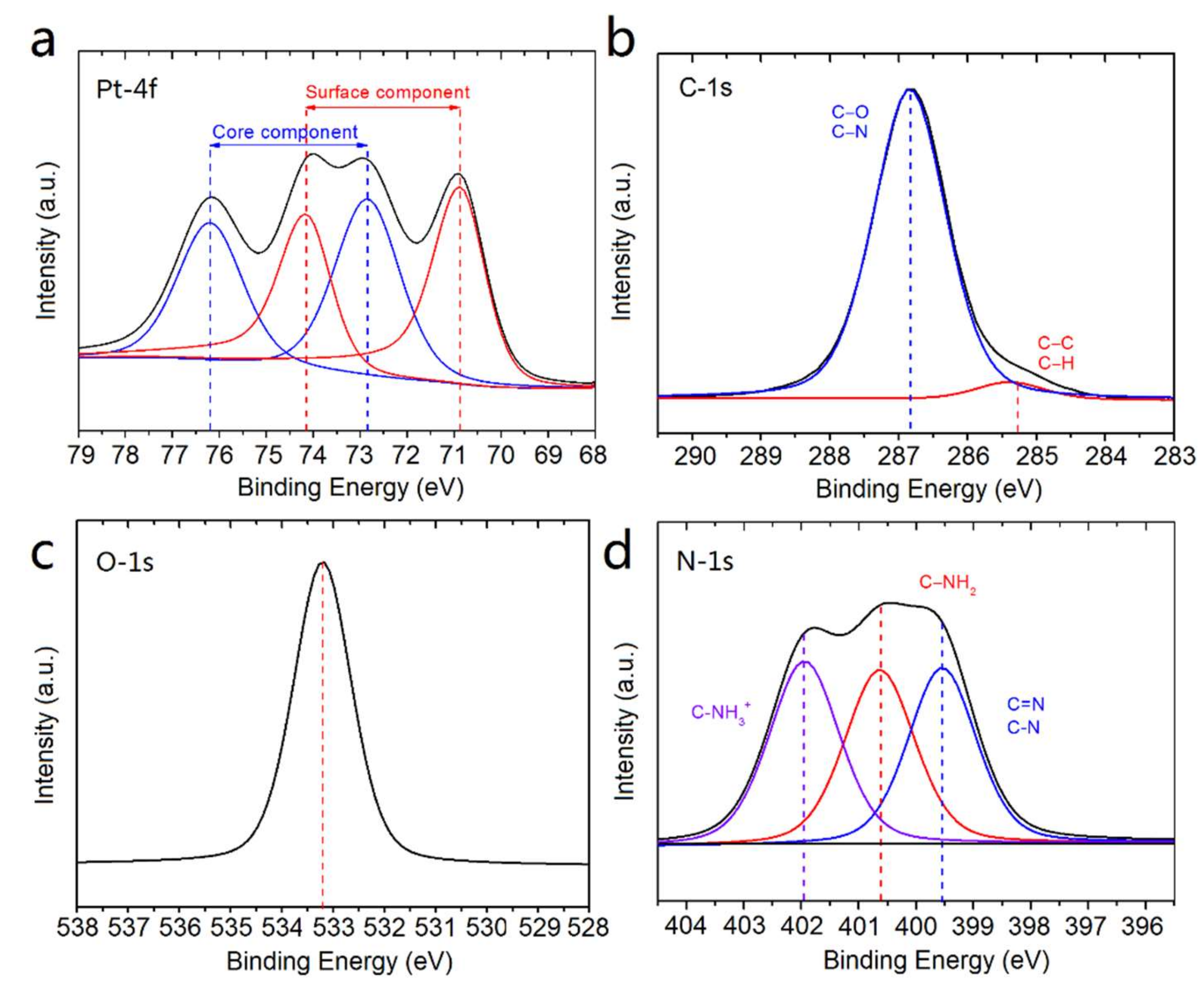 Ijms 21 01619 g003 Ijms 21 01619 g003