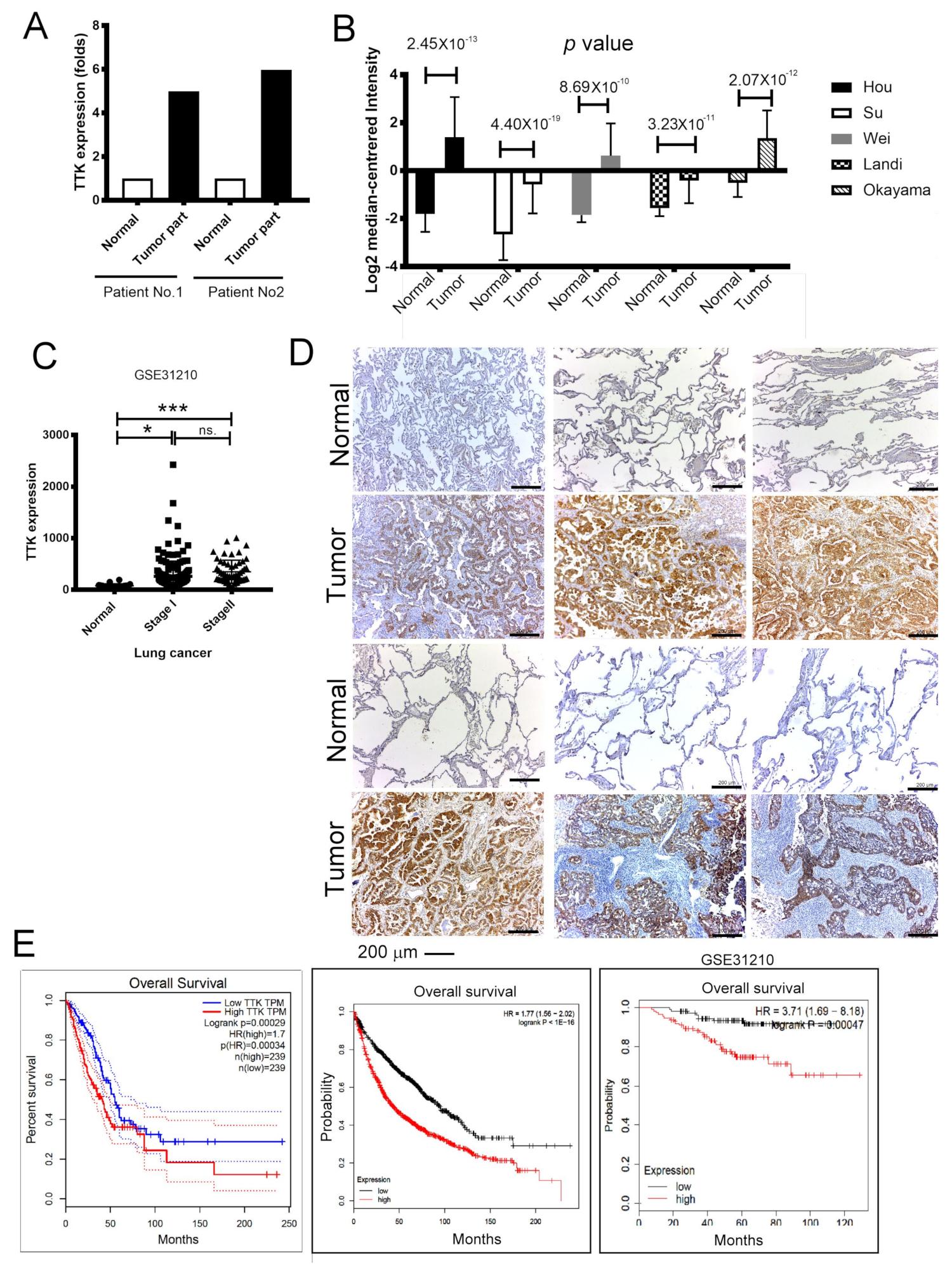 Ijms 21 01640 g001 Ijms 21 01640 g001