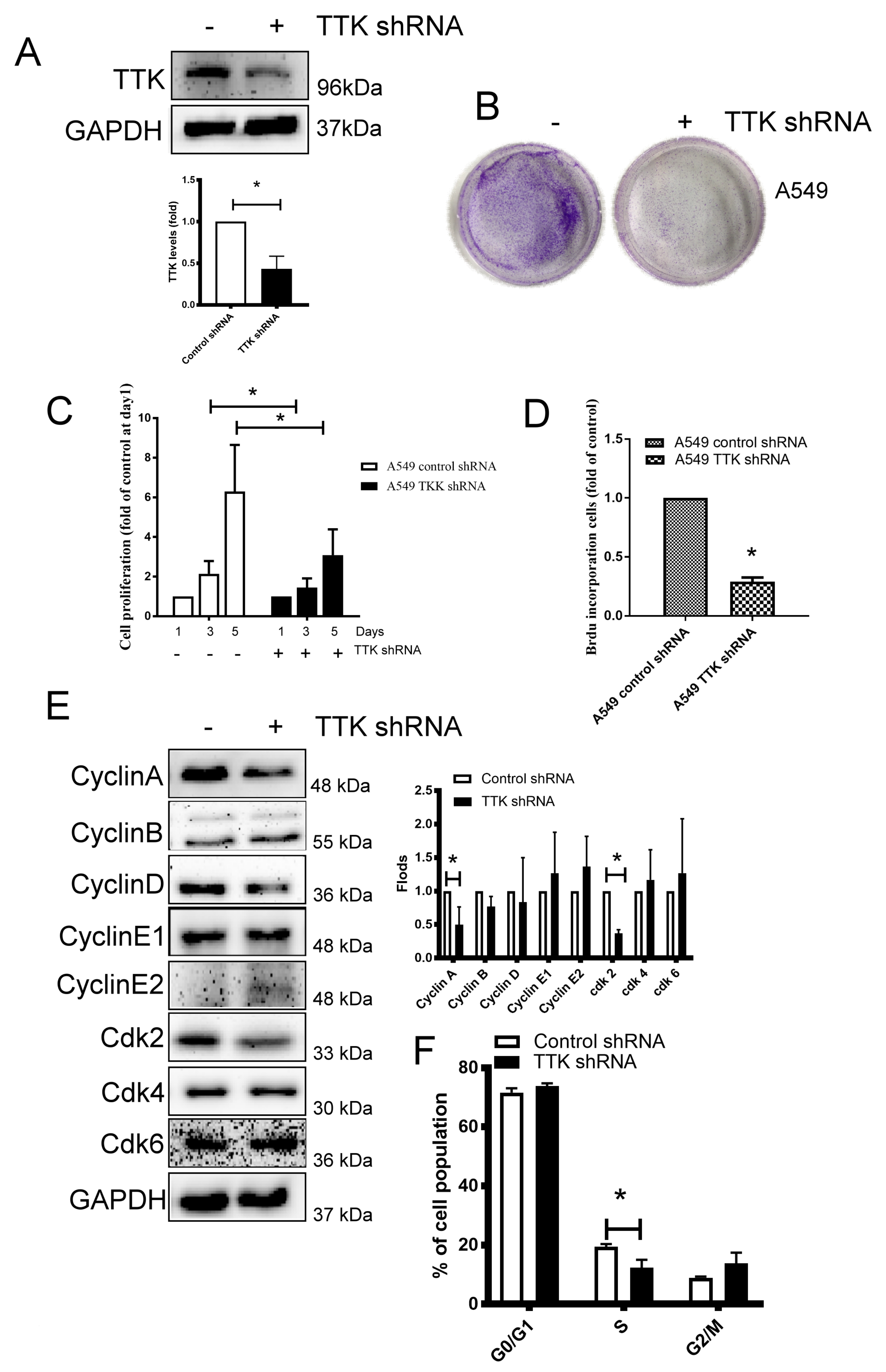Ijms 21 01640 g002 Ijms 21 01640 g002