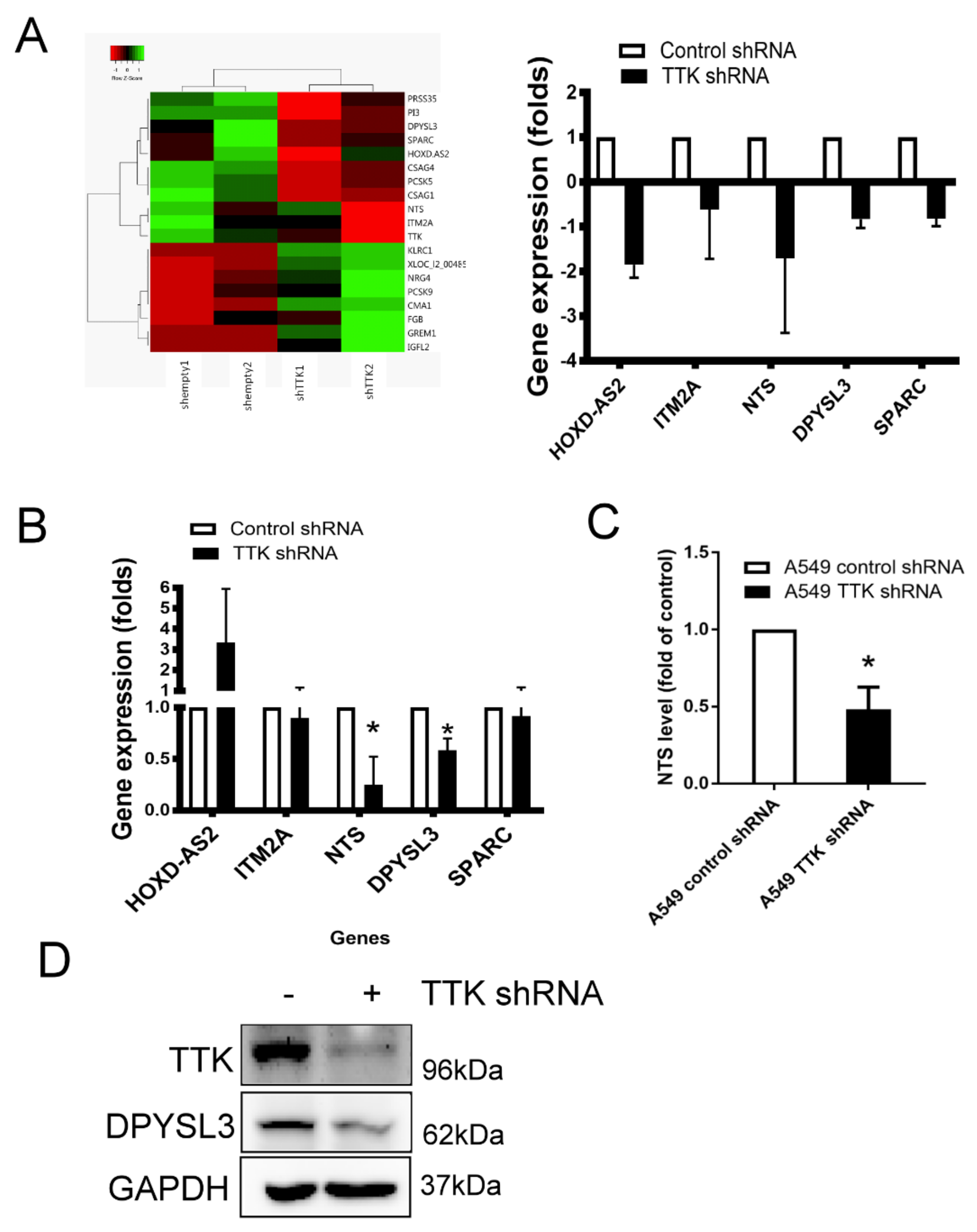 Ijms 21 01640 g004 Ijms 21 01640 g004