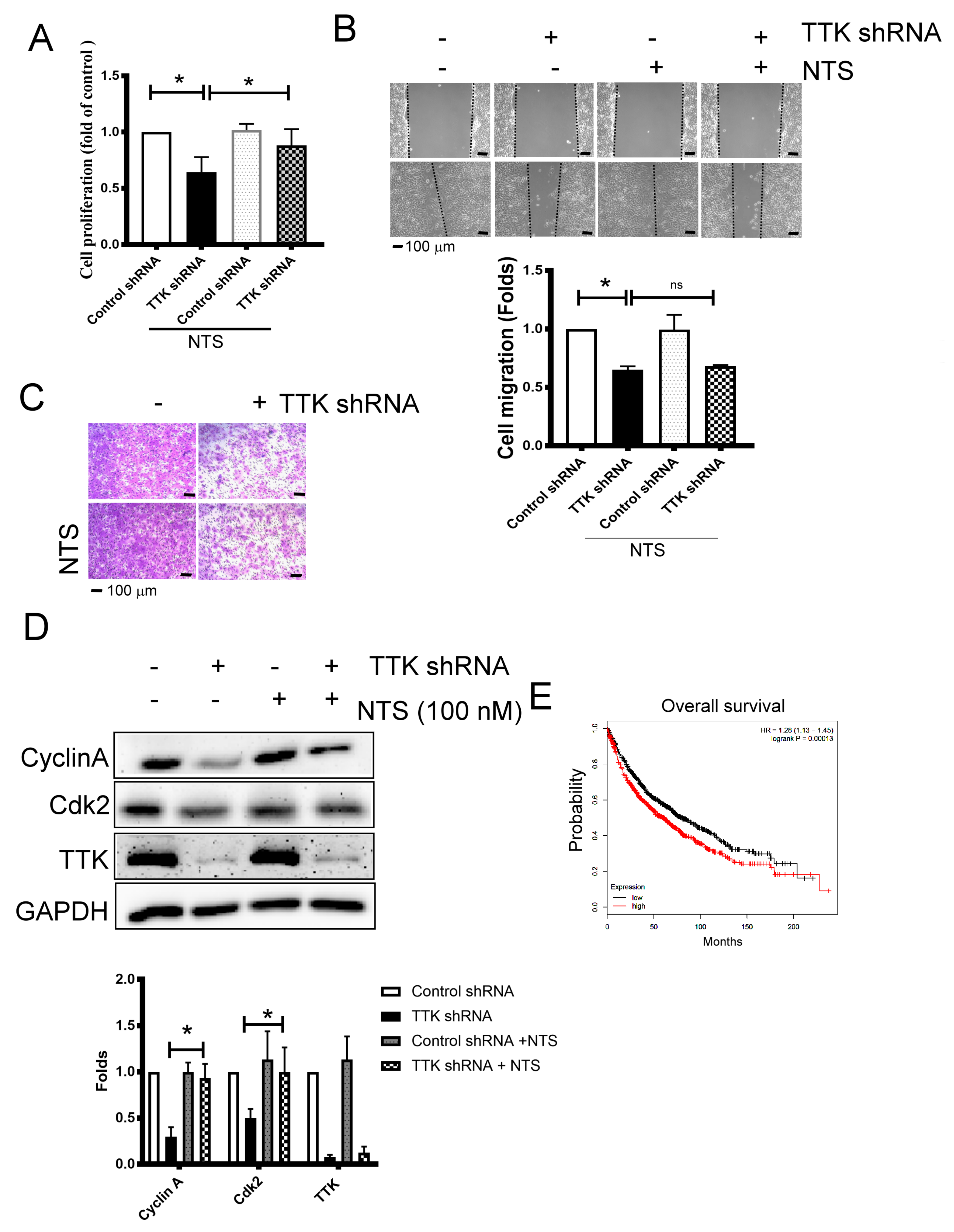 Ijms 21 01640 g005 Ijms 21 01640 g005