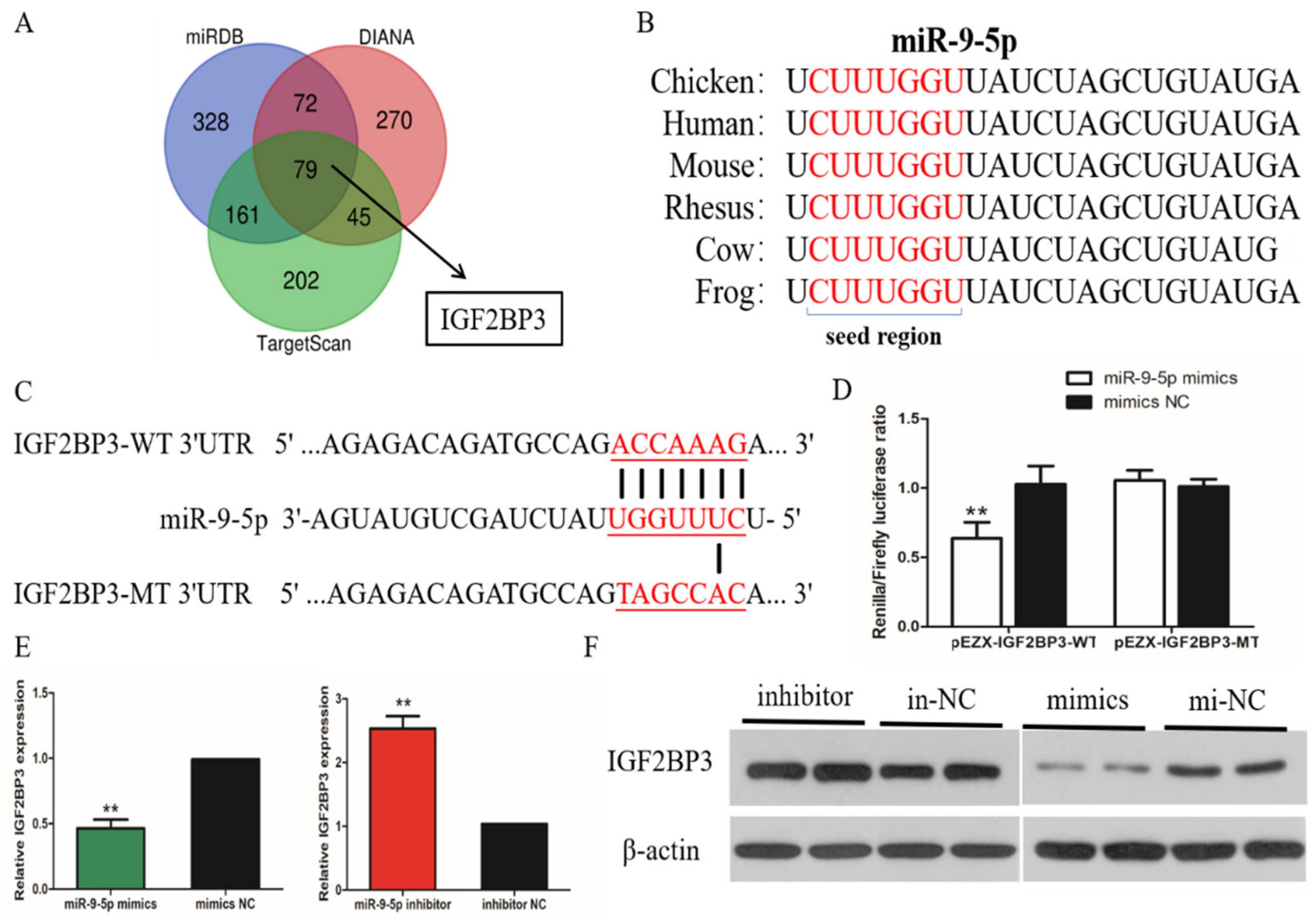 Ijms 21 01655 g004 Ijms 21 01655 g004