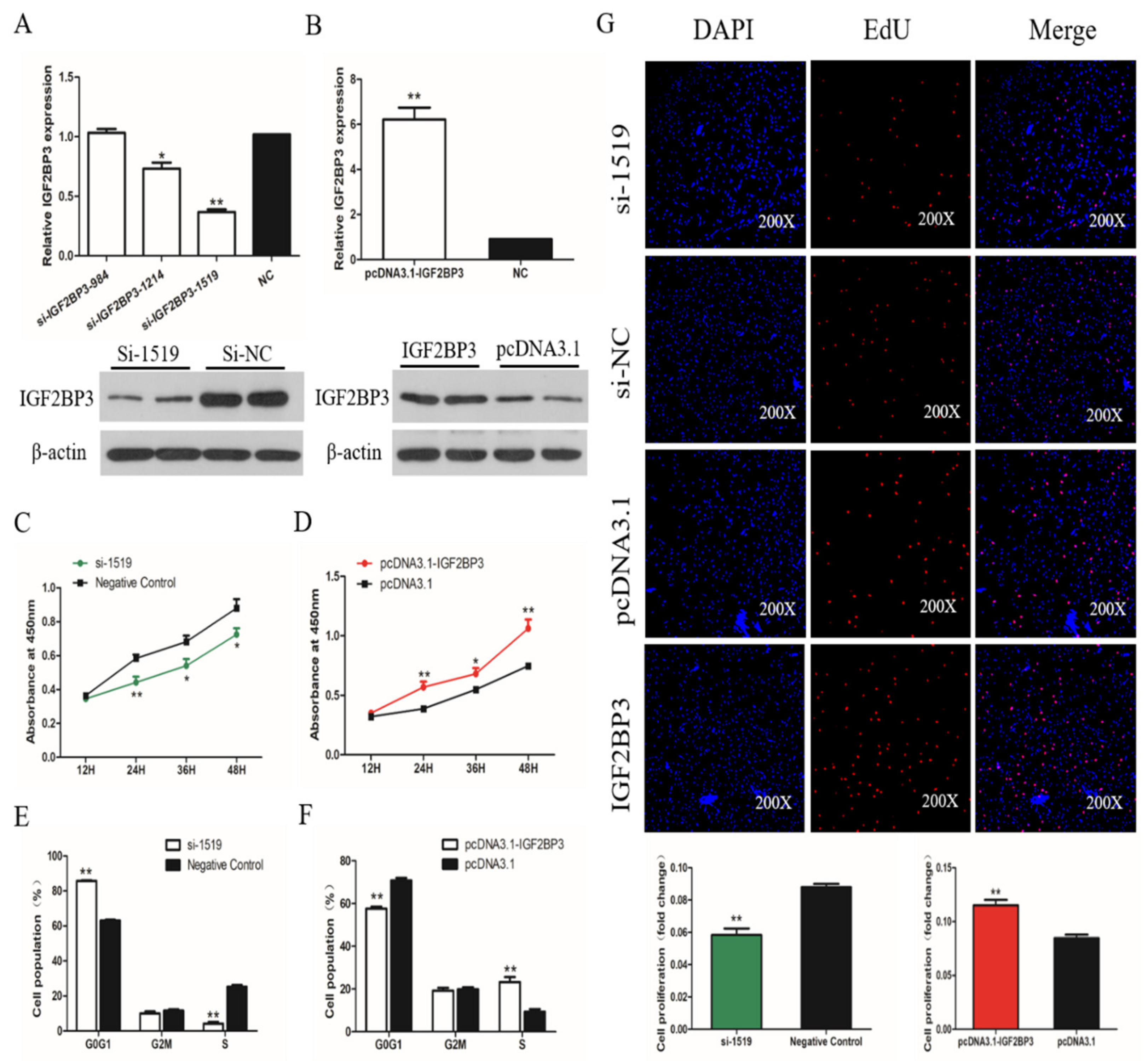 Ijms 21 01655 g005 Ijms 21 01655 g005