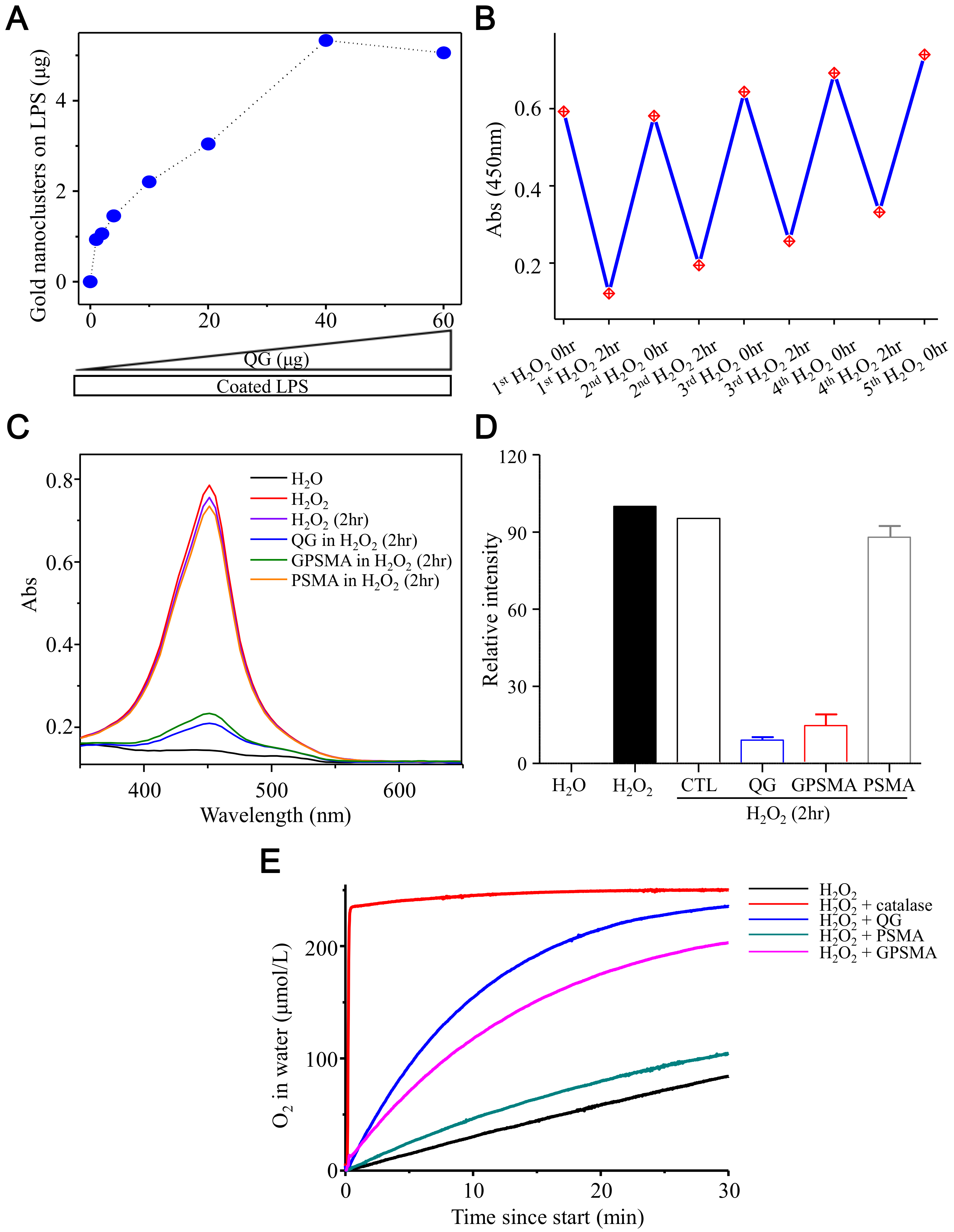 Ijms 21 01699 g004 Ijms 21 01699 g004
