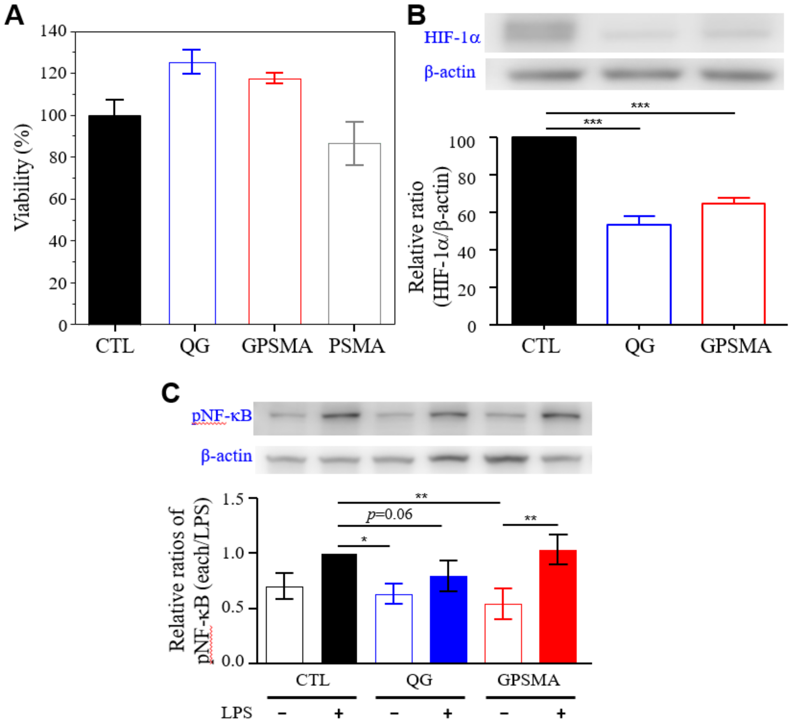 Ijms 21 01699 g005 Ijms 21 01699 g005