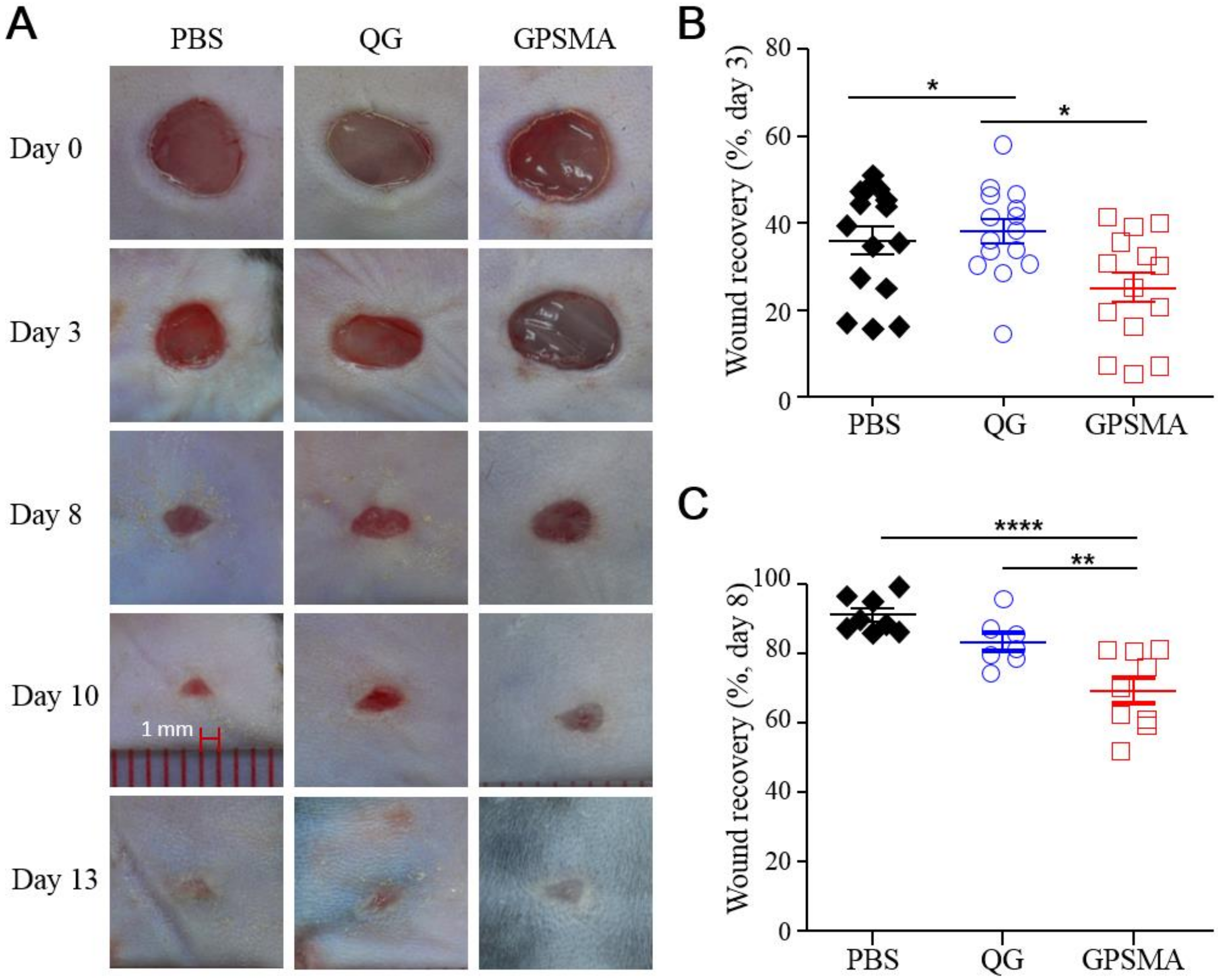 Ijms 21 01699 g006 Ijms 21 01699 g006