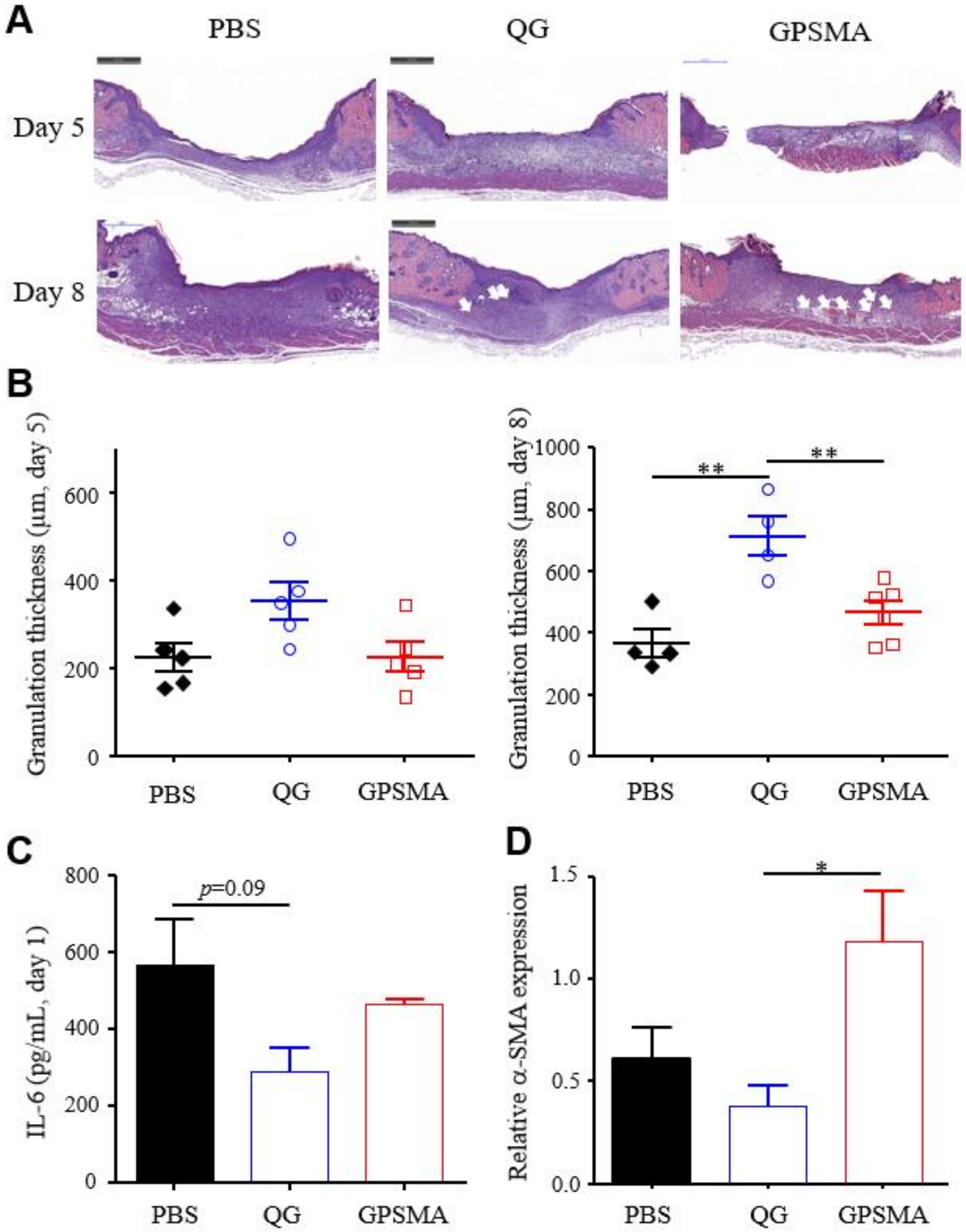 Ijms 21 01699 g007 Ijms 21 01699 g007