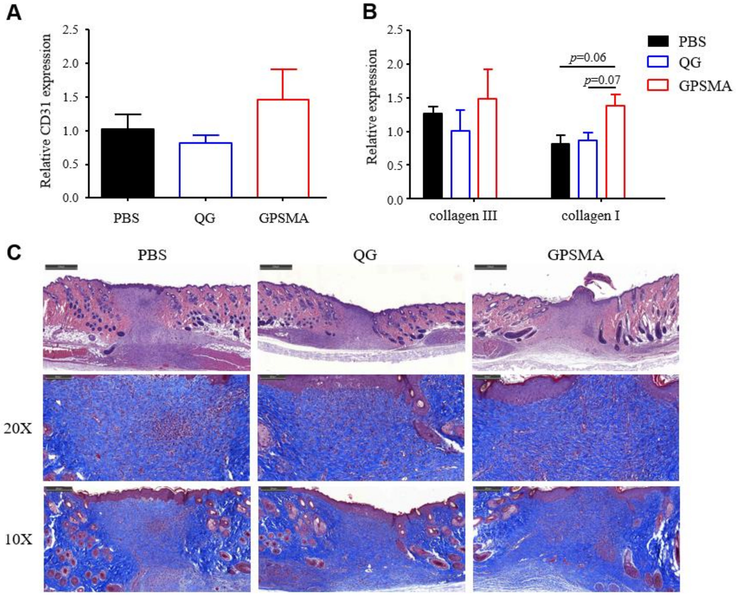 Ijms 21 01699 g008 Ijms 21 01699 g008