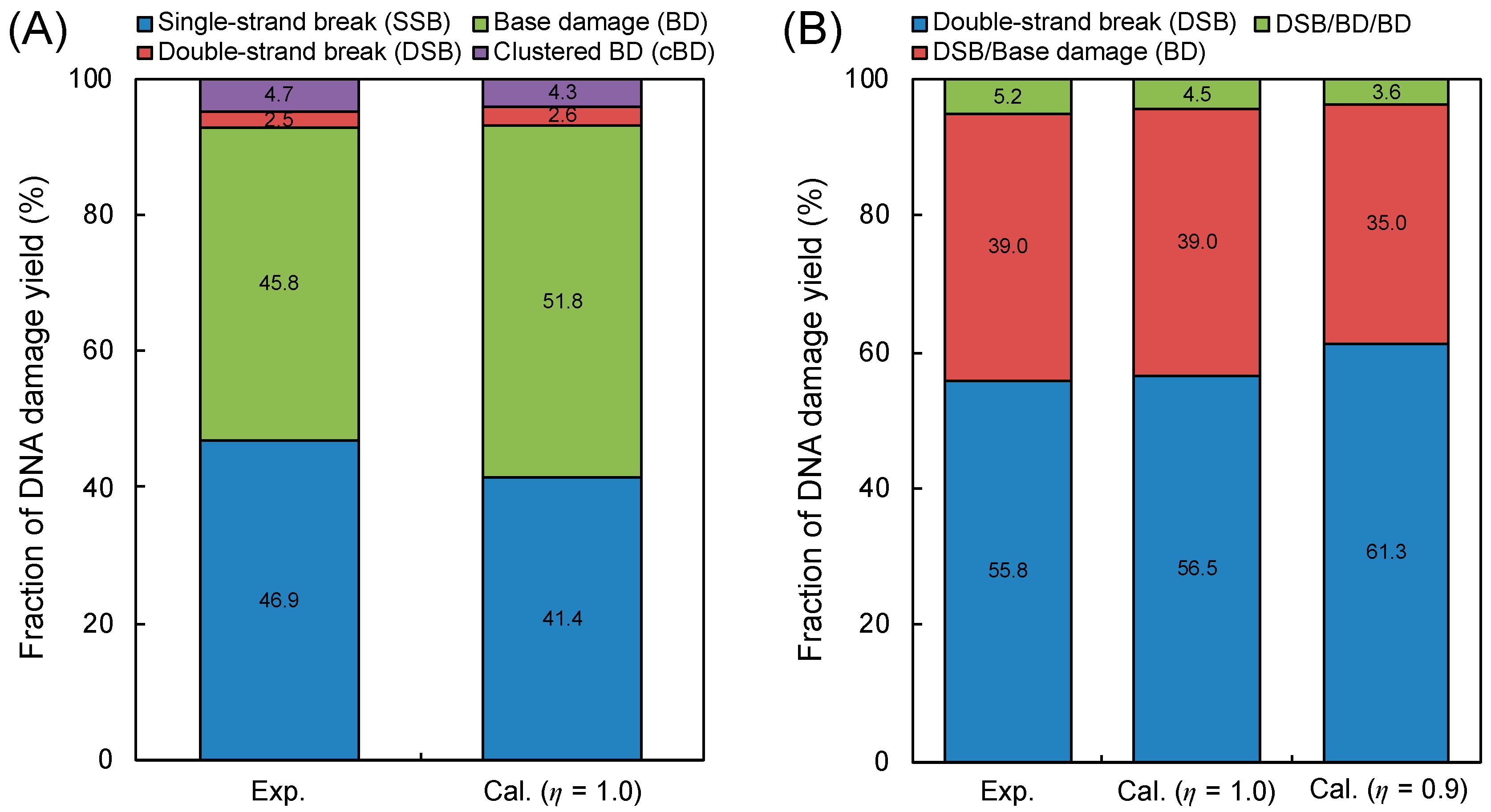 Ijms 21 01701 g001 Ijms 21 01701 g001