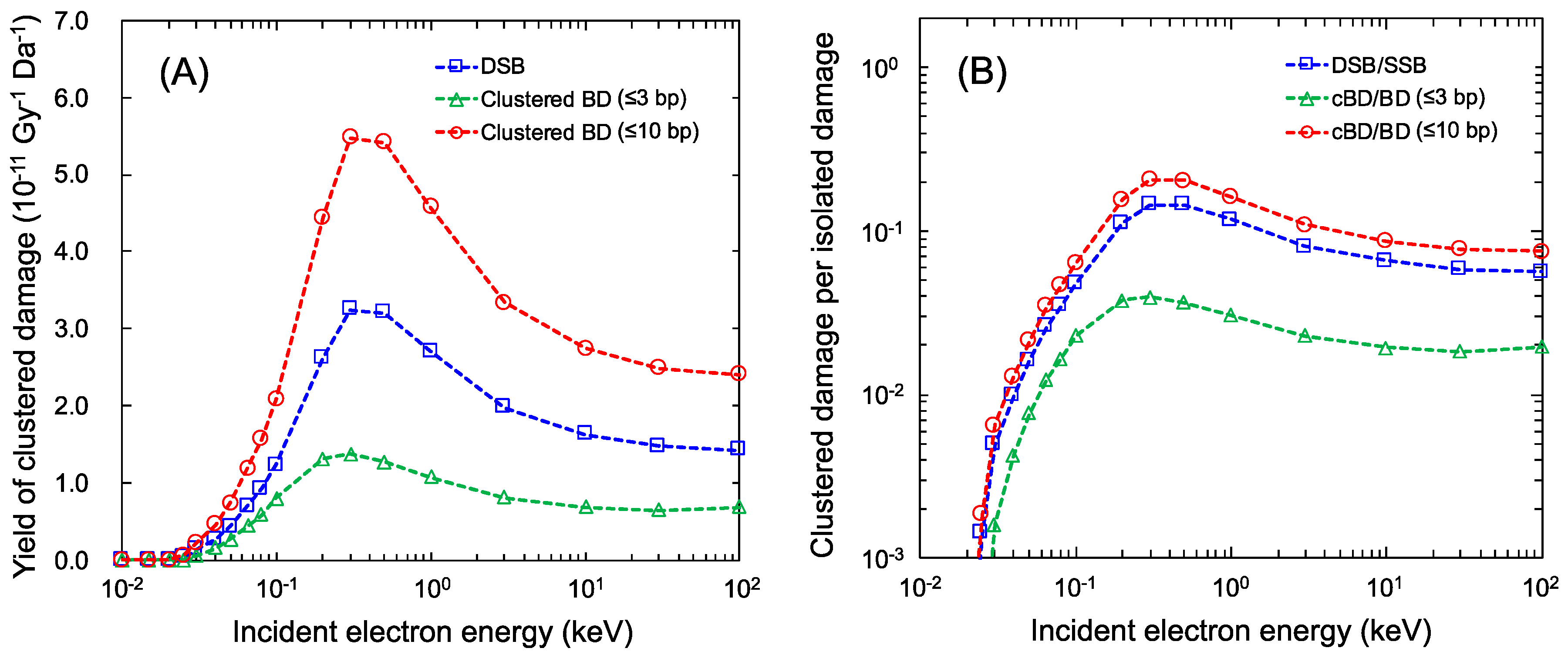 Ijms 21 01701 g003 Ijms 21 01701 g003