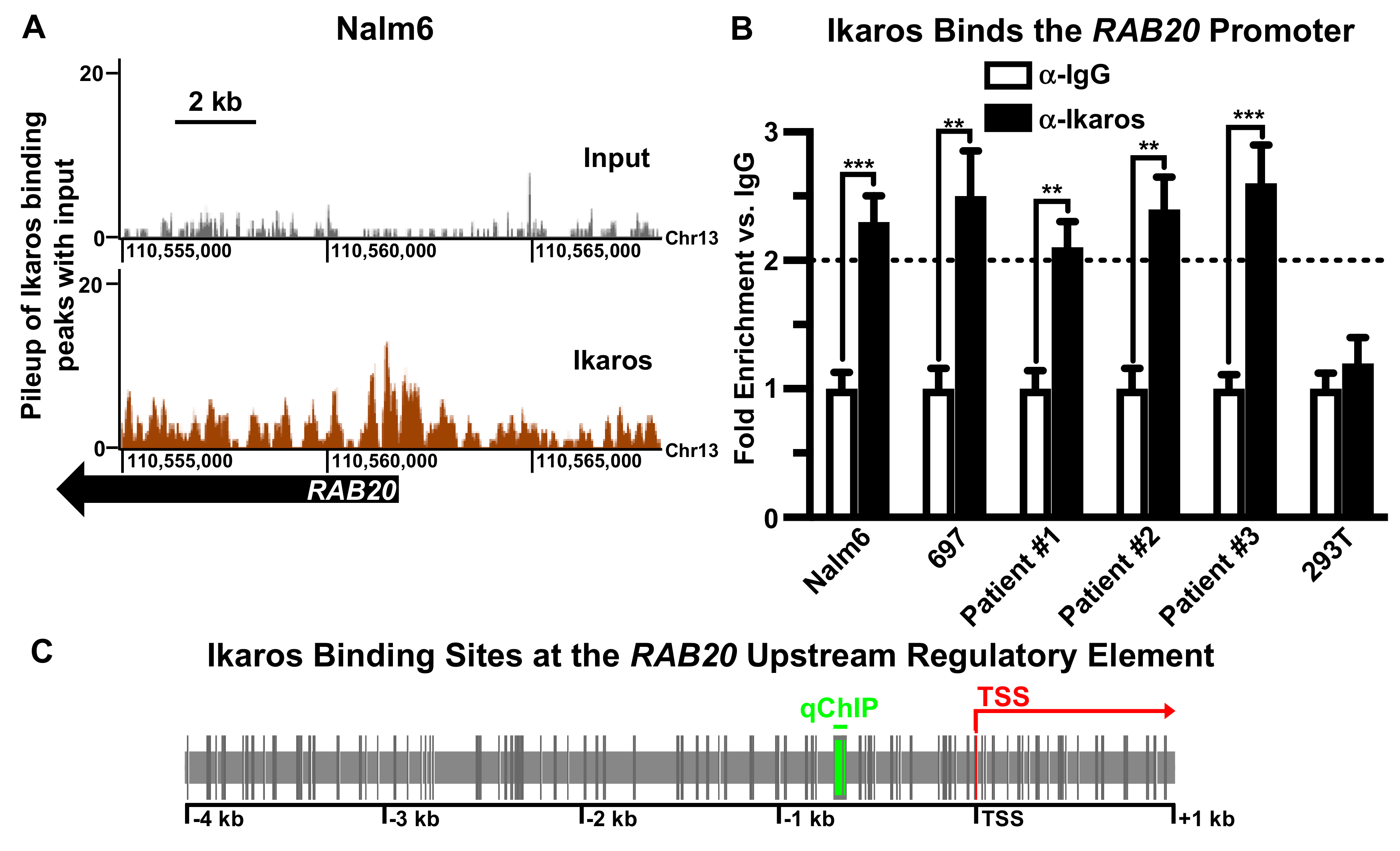 Ijms 21 01718 g001 Ijms 21 01718 g001
