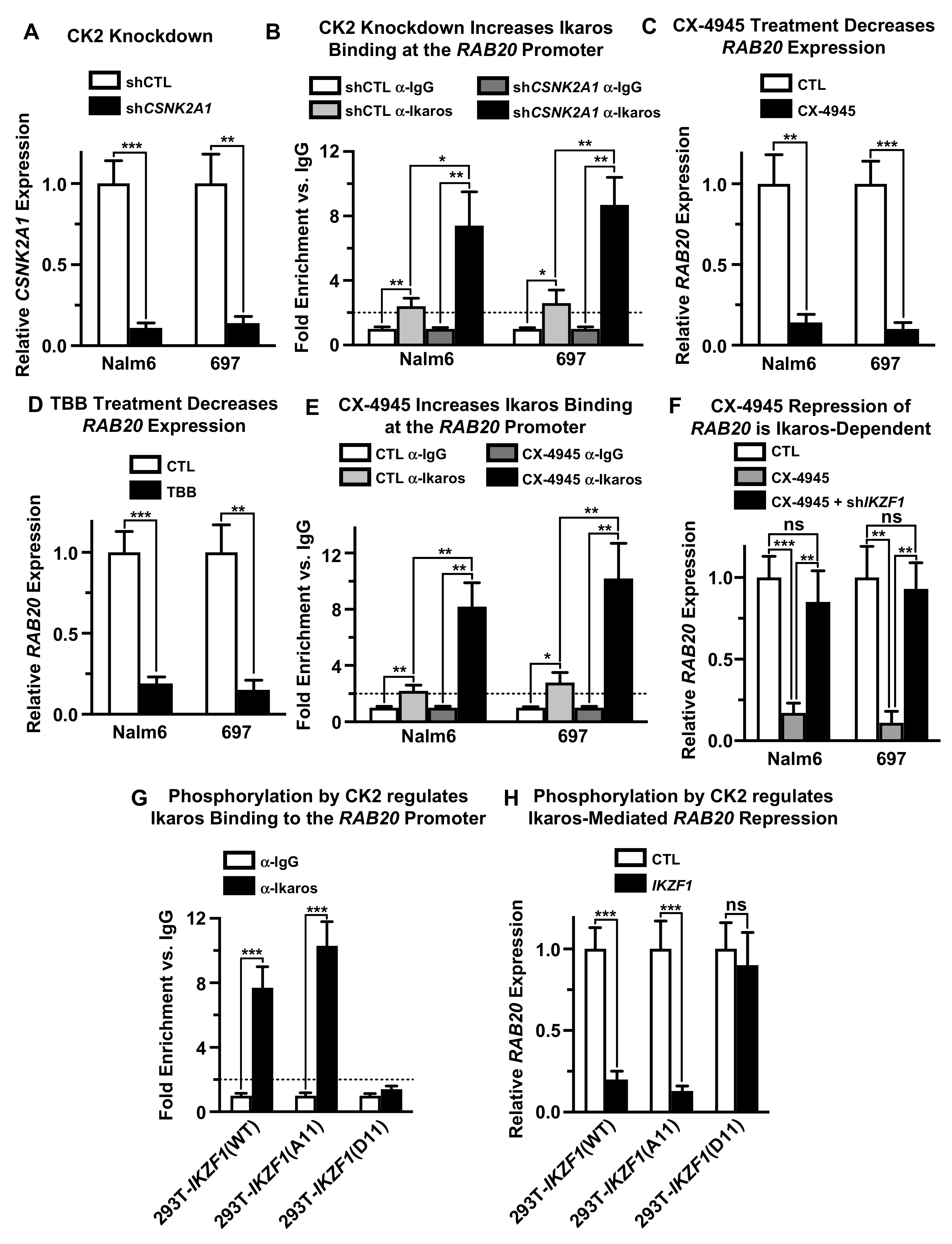 Ijms 21 01718 g004 Ijms 21 01718 g004
