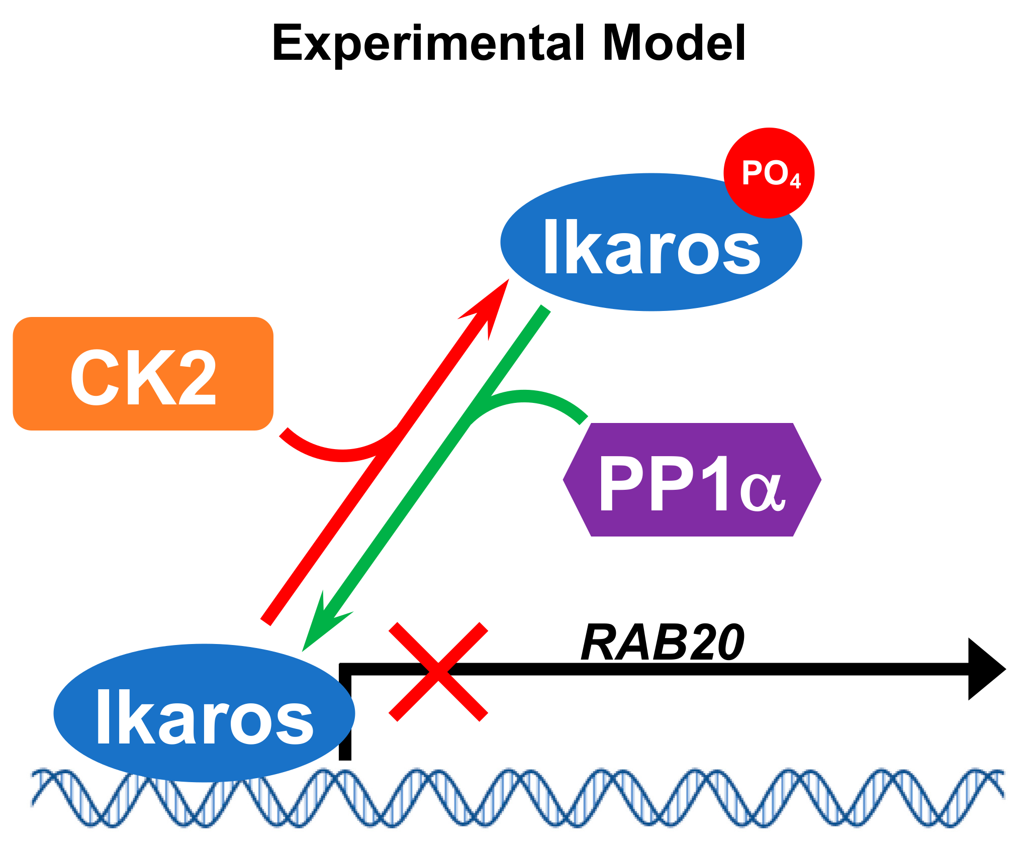 Ijms 21 01718 g006 Ijms 21 01718 g006