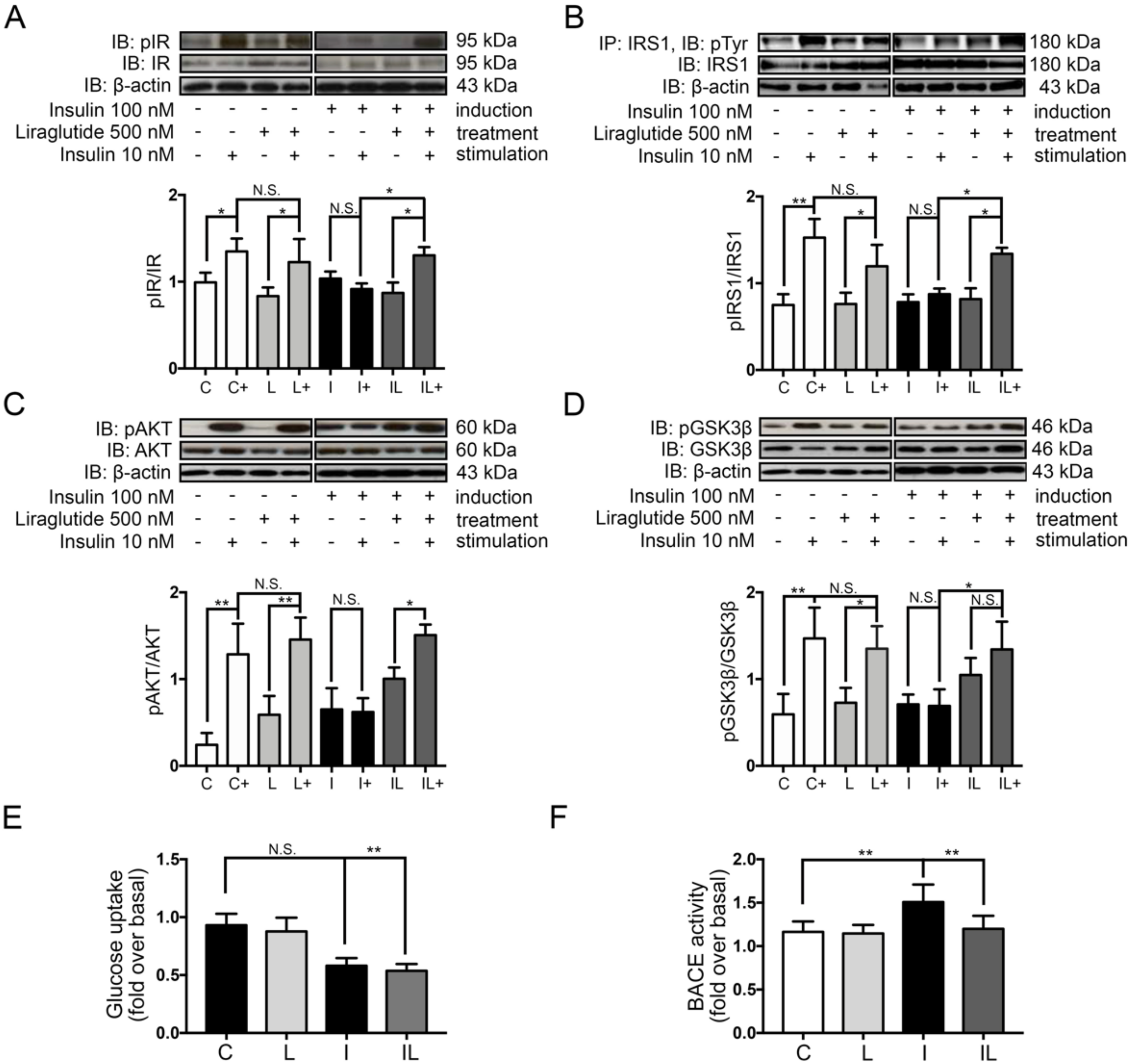 Ijms 21 01725 g004 Ijms 21 01725 g004