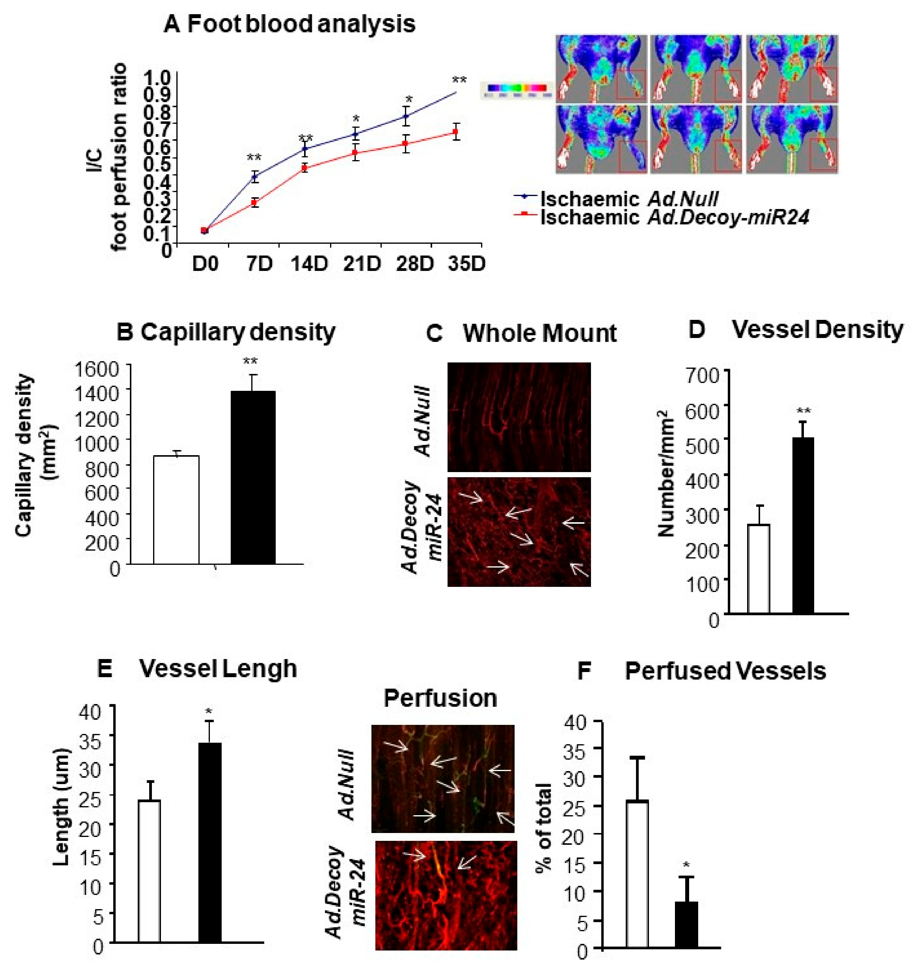 Ijms 21 01733 g006 Ijms 21 01733 g006