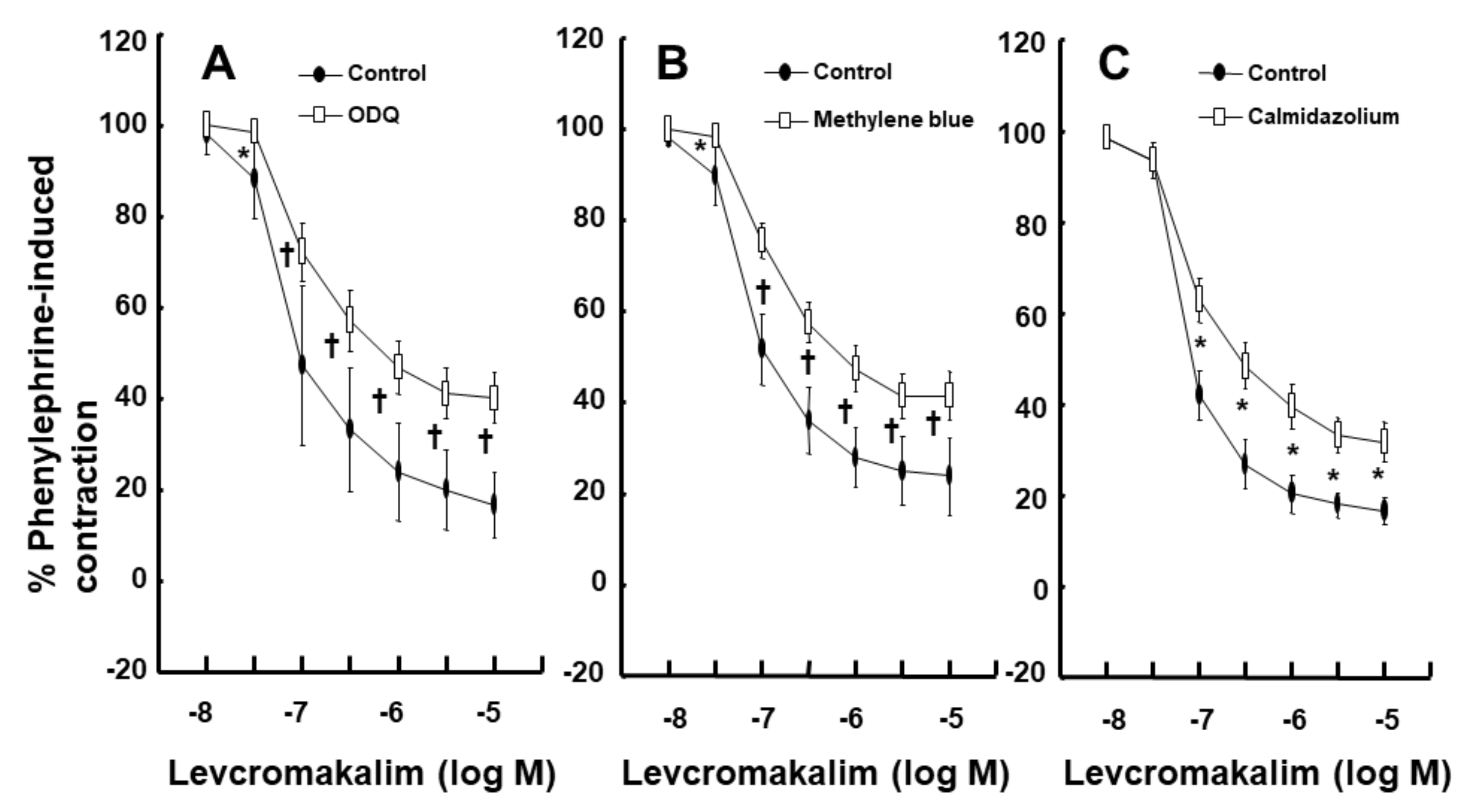 Ijms 21 01763 g005 Ijms 21 01763 g005
