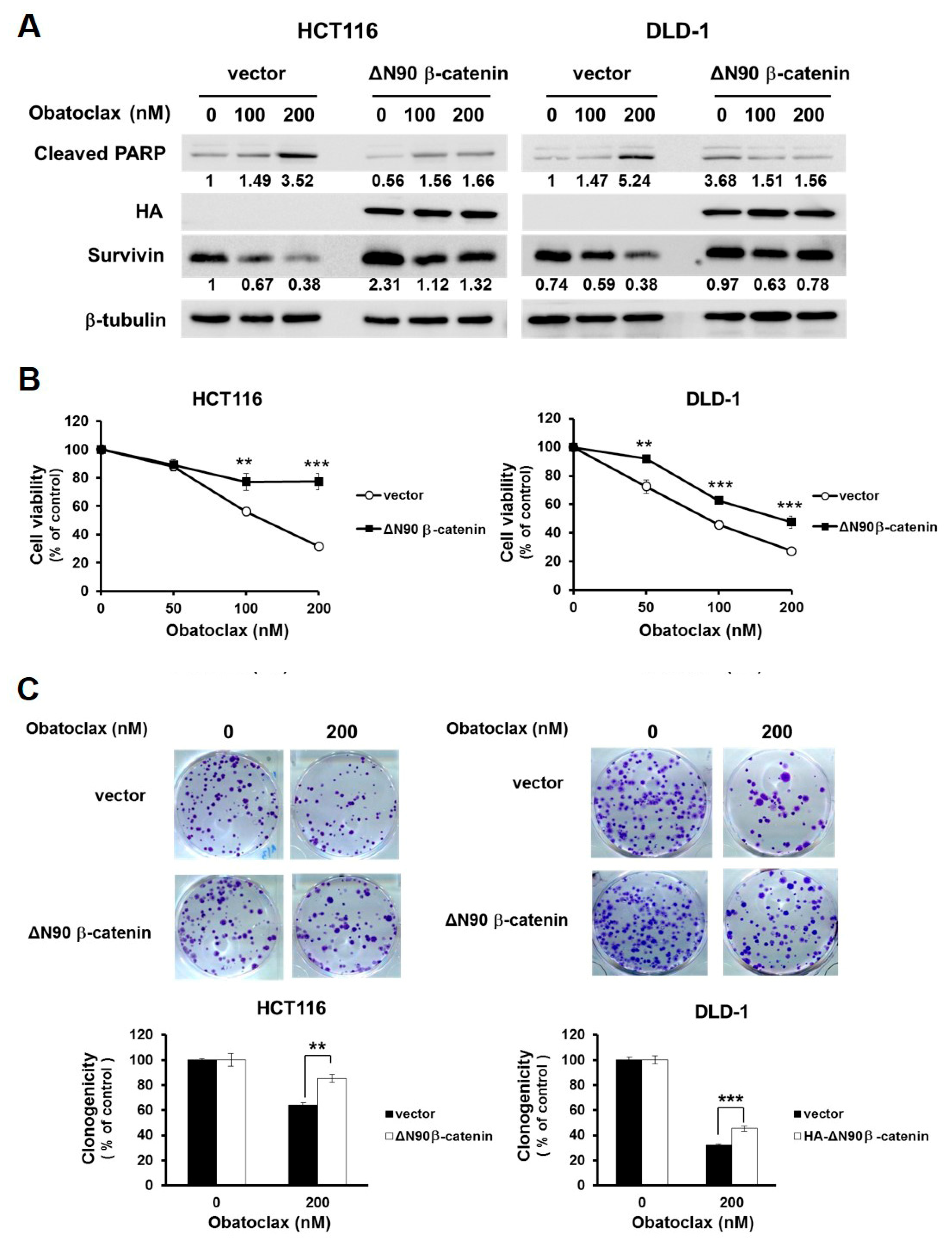 Ijms 21 01773 g005 Ijms 21 01773 g005