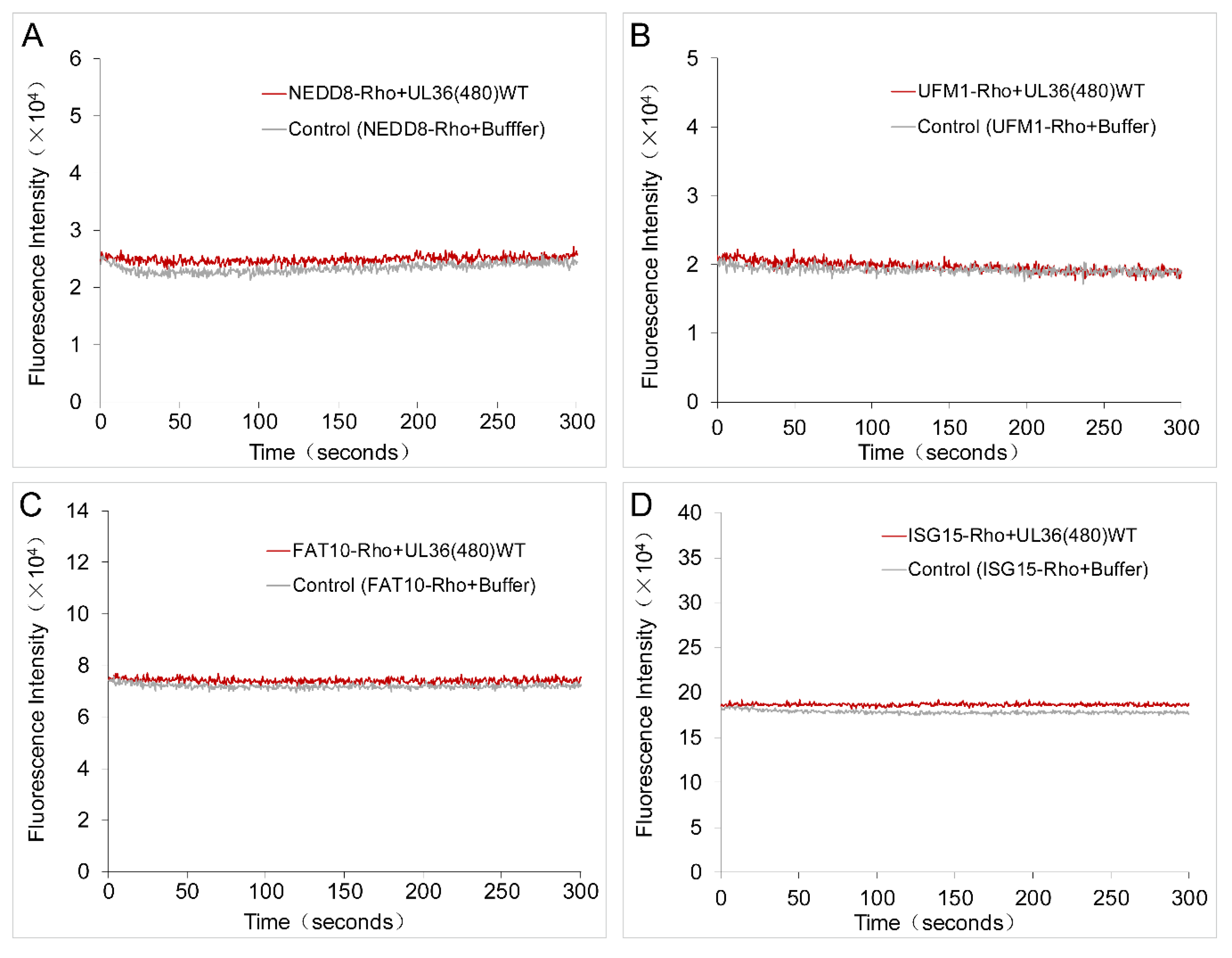 Ijms 21 01783 g005 Ijms 21 01783 g005
