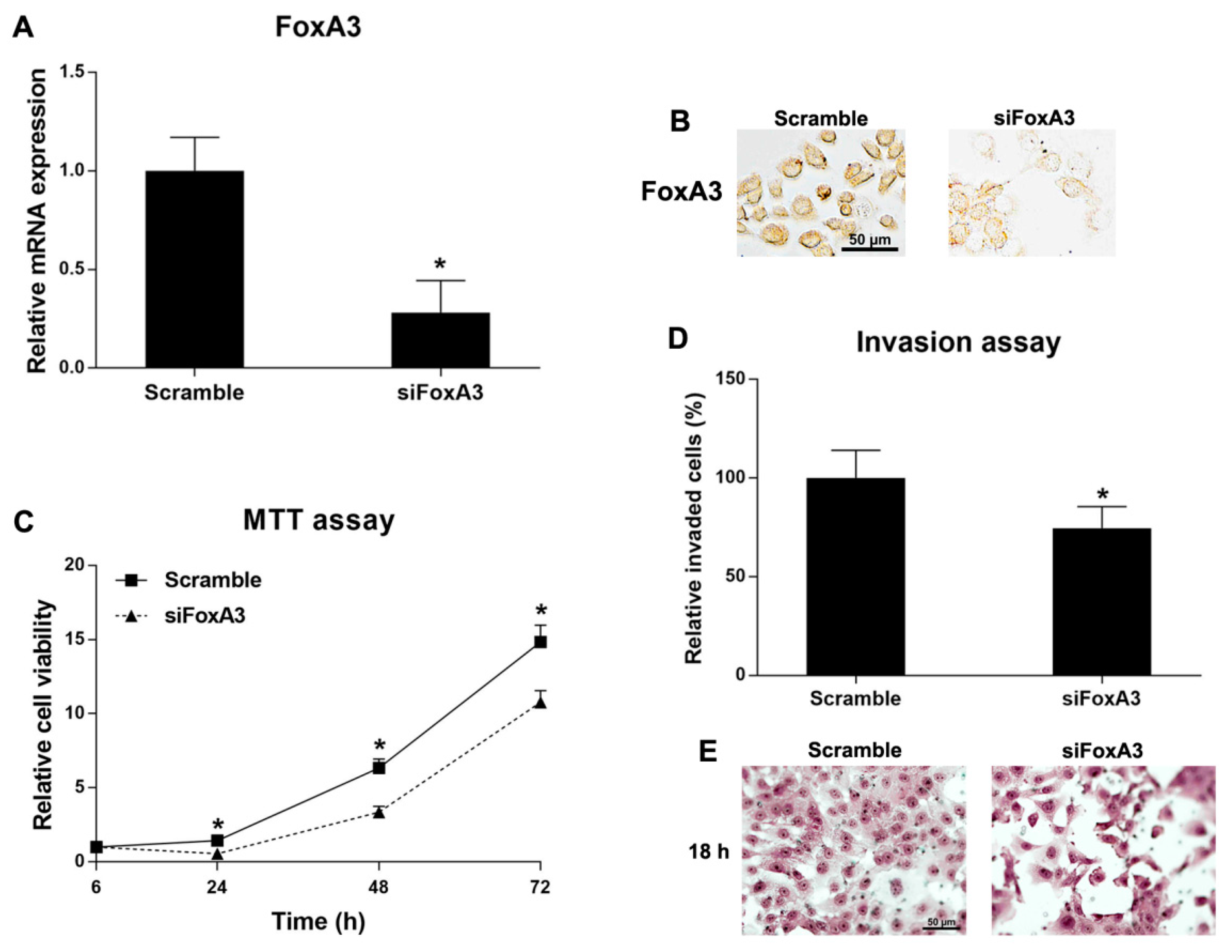 Ijms 21 01796 g005 Ijms 21 01796 g005
