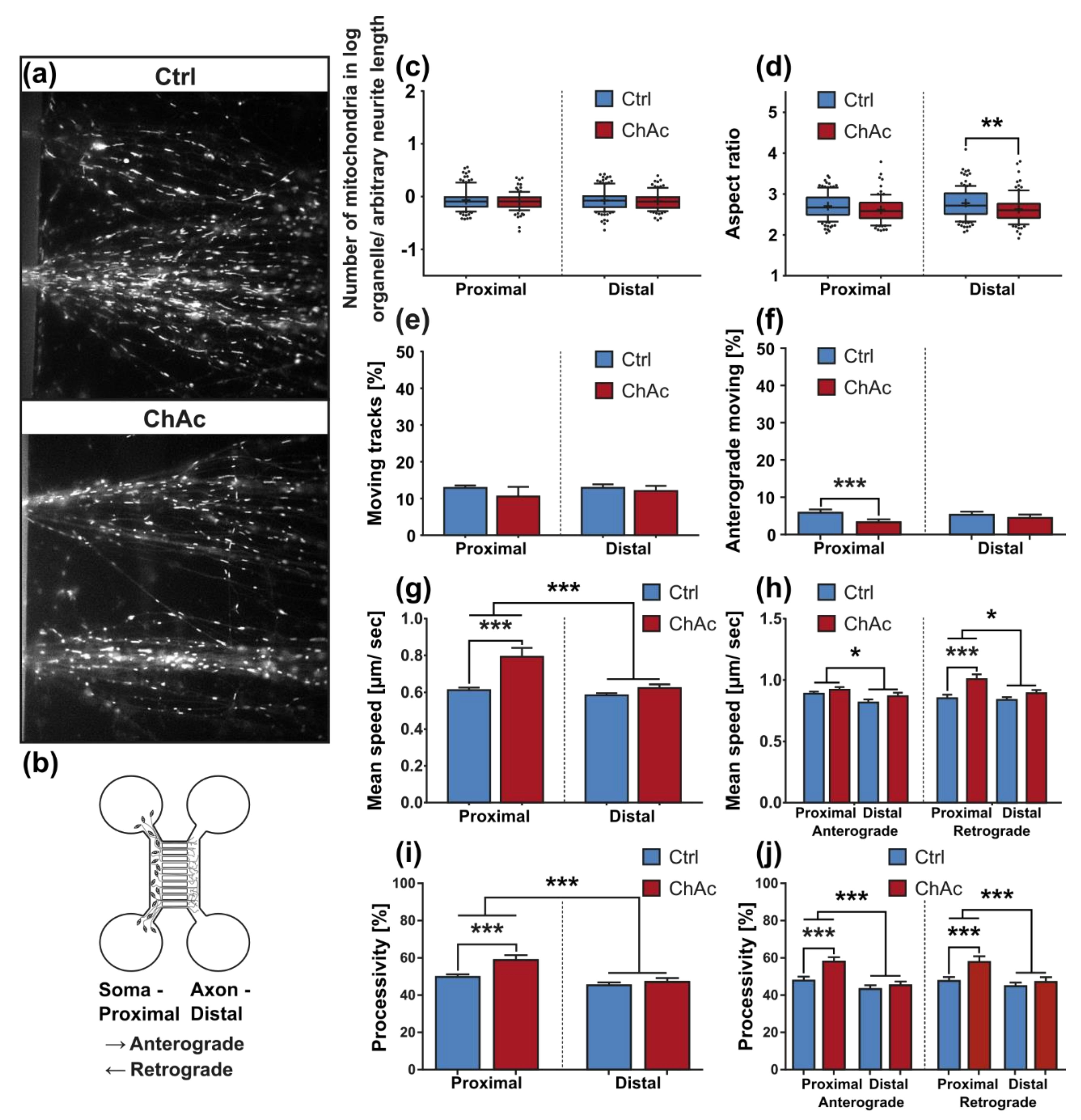 Ijms 21 01797 g004a Ijms 21 01797 g004a