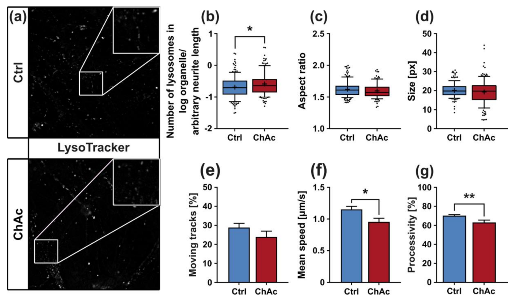 Ijms 21 01797 g005 Ijms 21 01797 g005