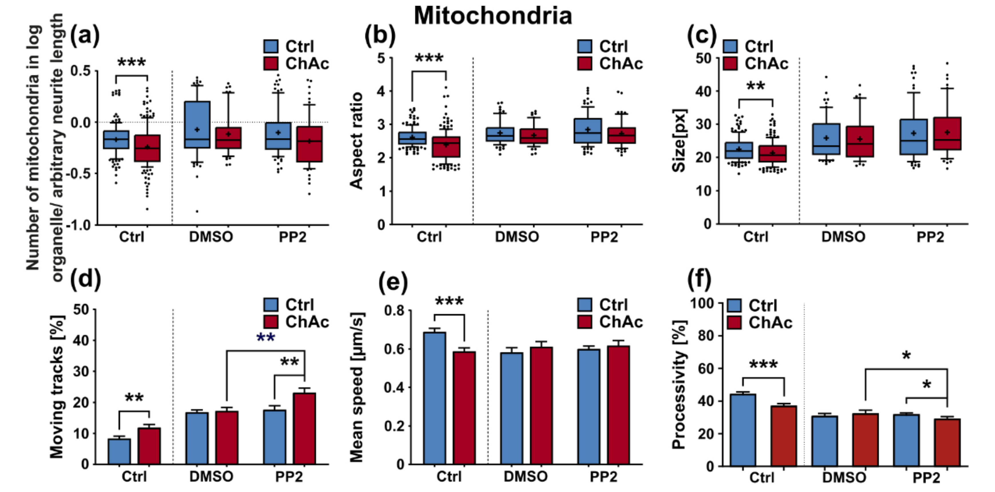 Ijms 21 01797 g008a Ijms 21 01797 g008a