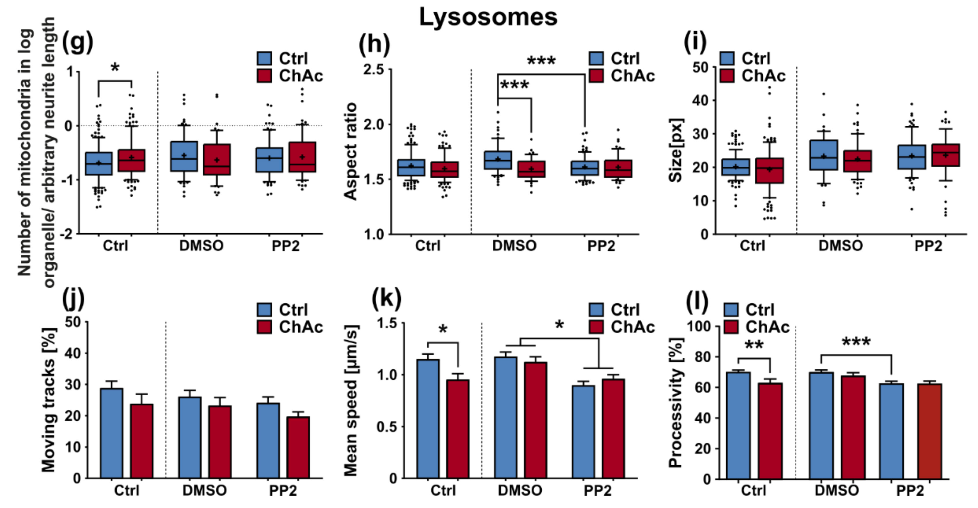 Ijms 21 01797 g008b Ijms 21 01797 g008b