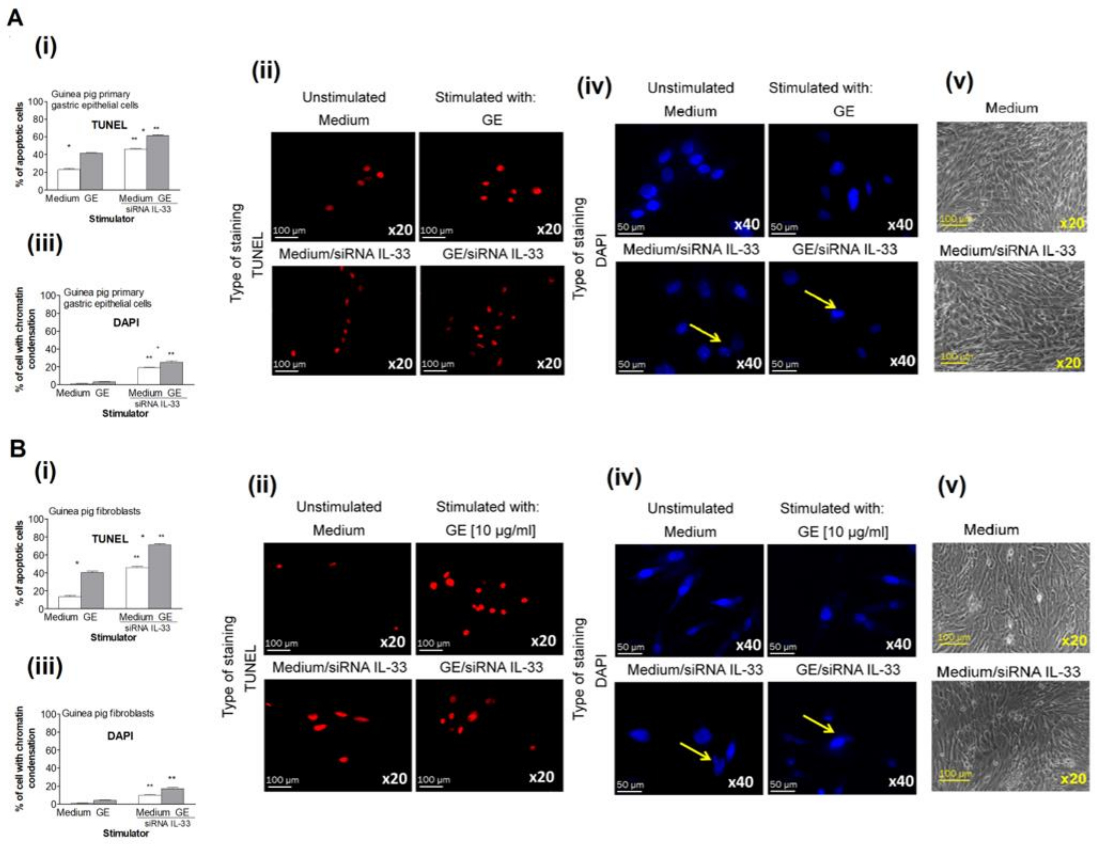 Ijms 21 01801 g005 Ijms 21 01801 g005
