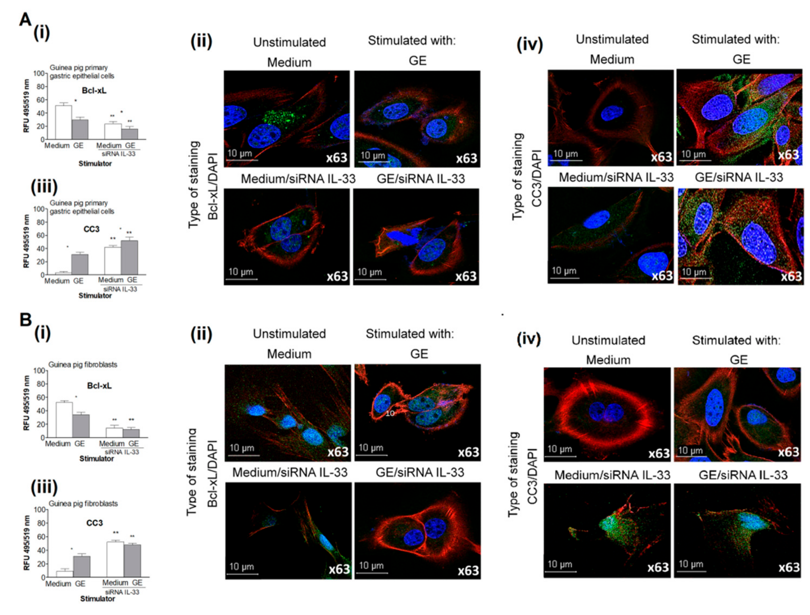 Ijms 21 01801 g006 Ijms 21 01801 g006