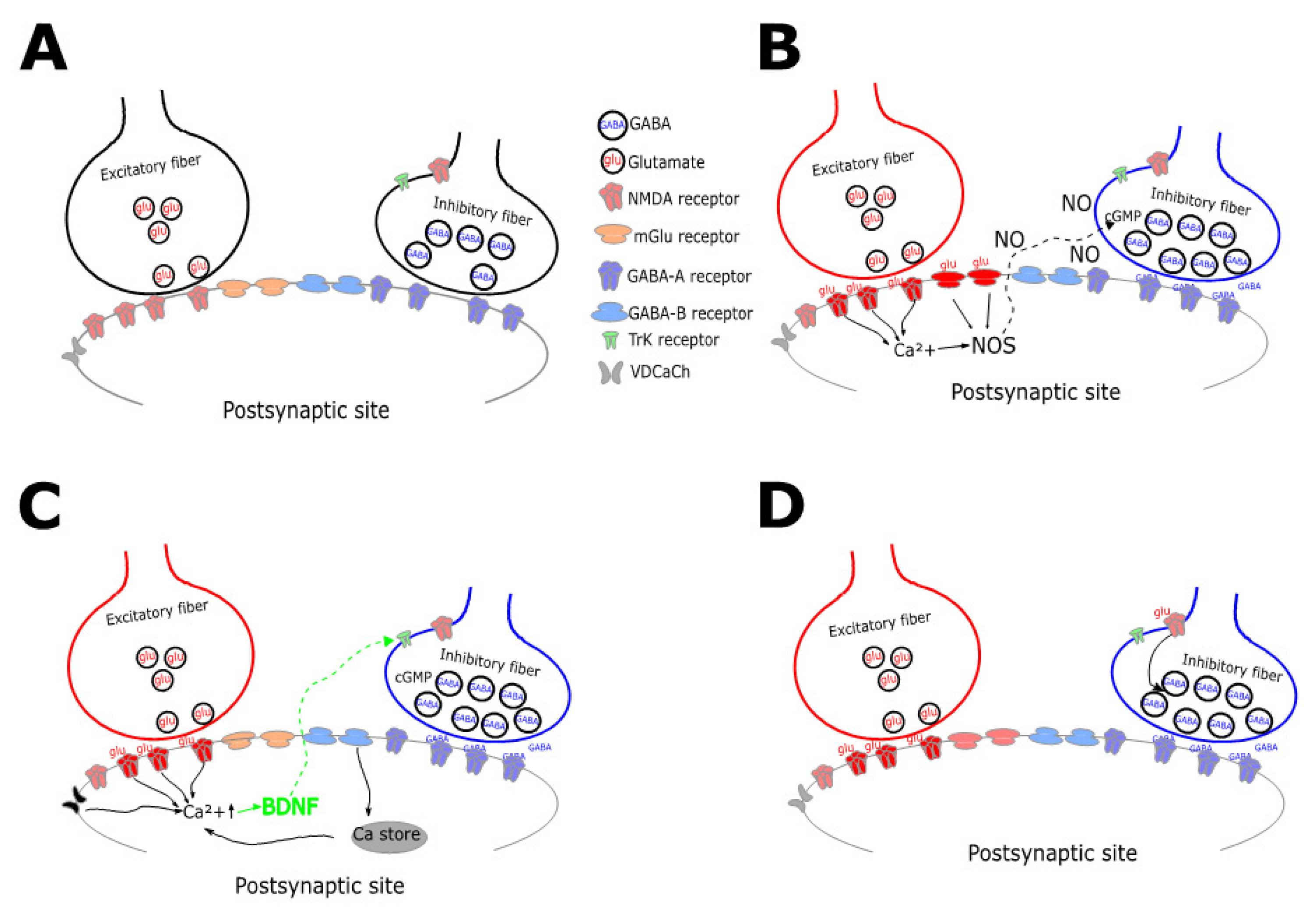 Ijms 21 01805 g001 Ijms 21 01805 g001