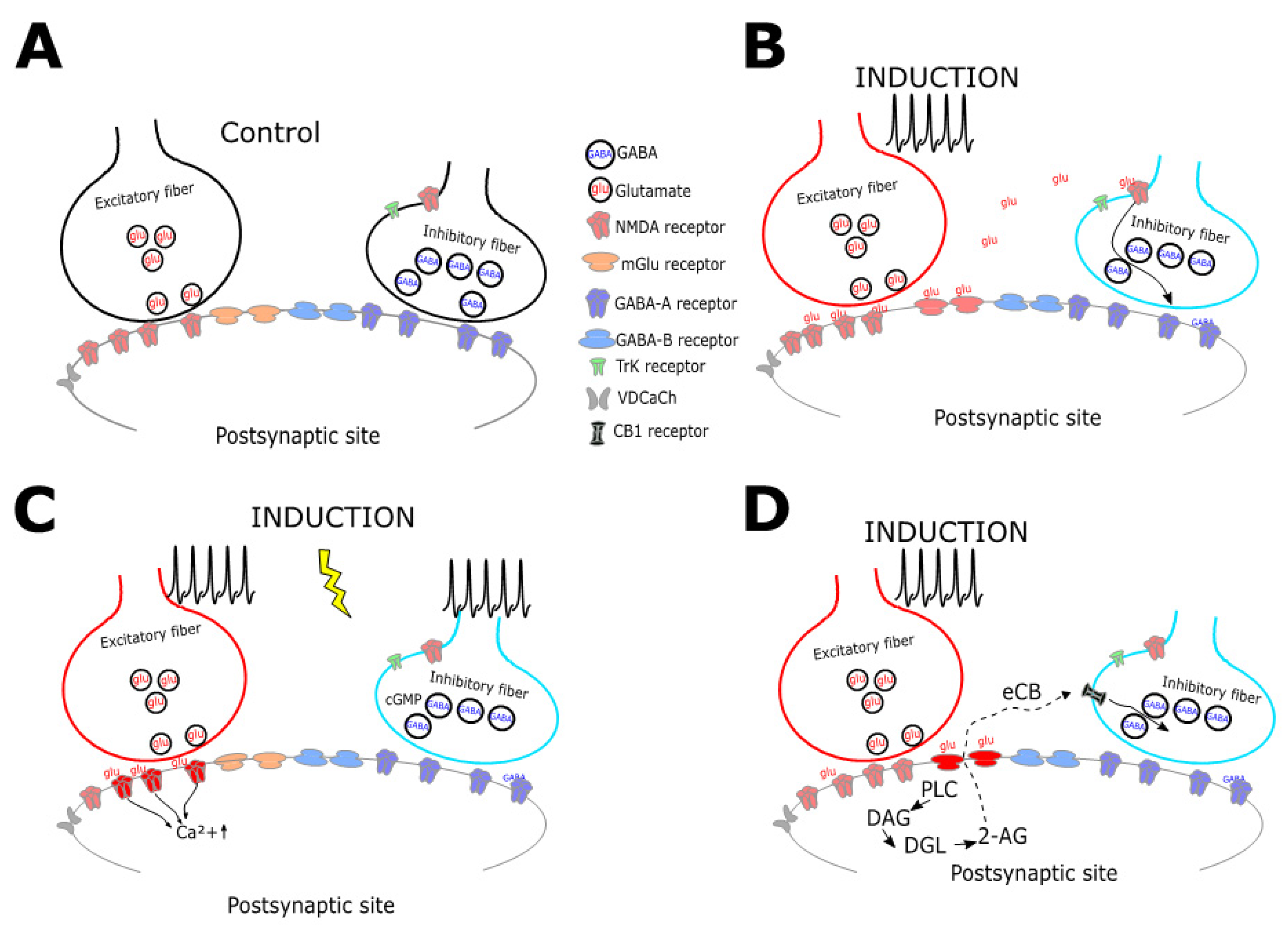 Ijms 21 01805 g002 Ijms 21 01805 g002