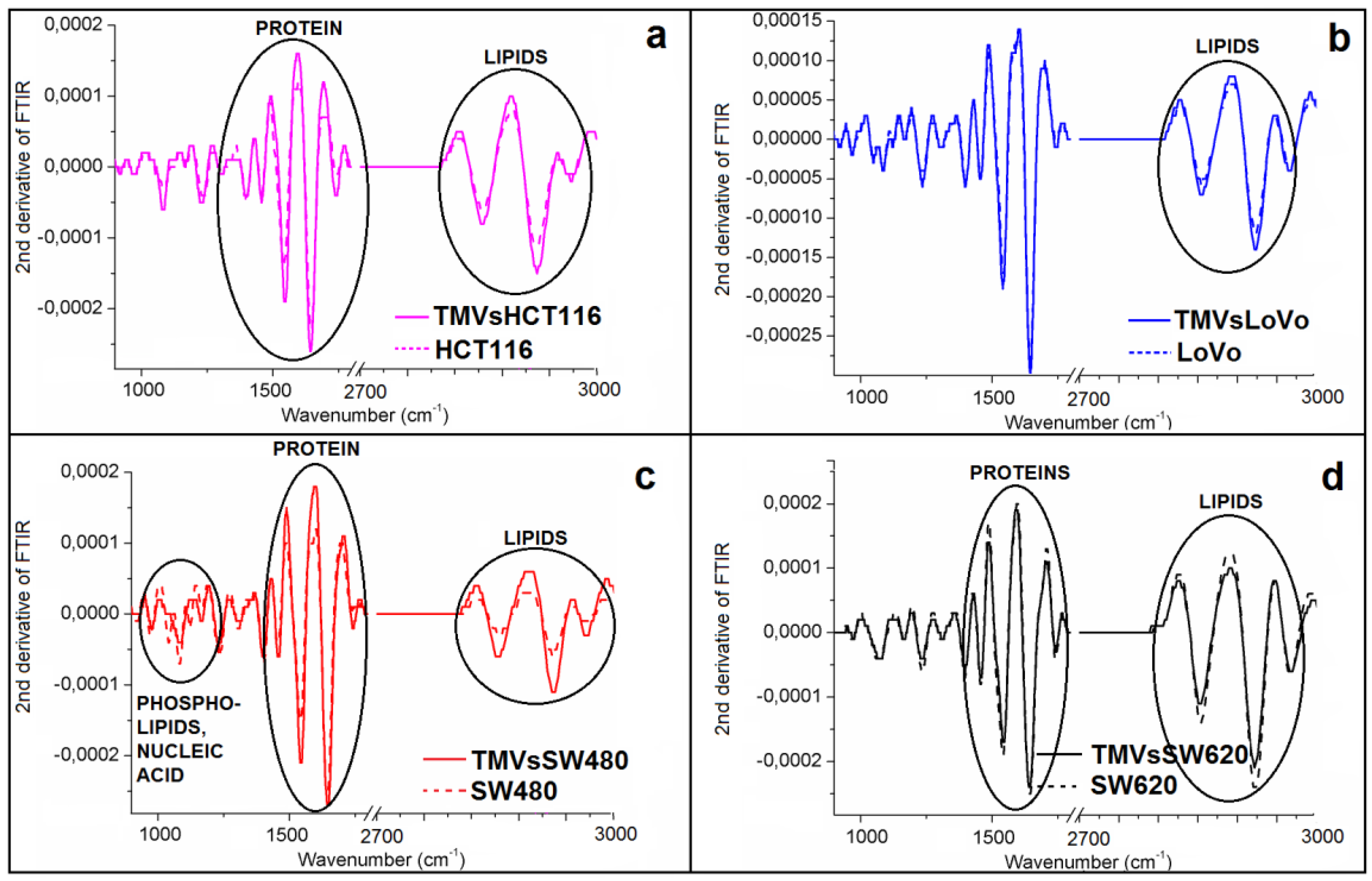 Ijms 21 01826 g005 Ijms 21 01826 g005