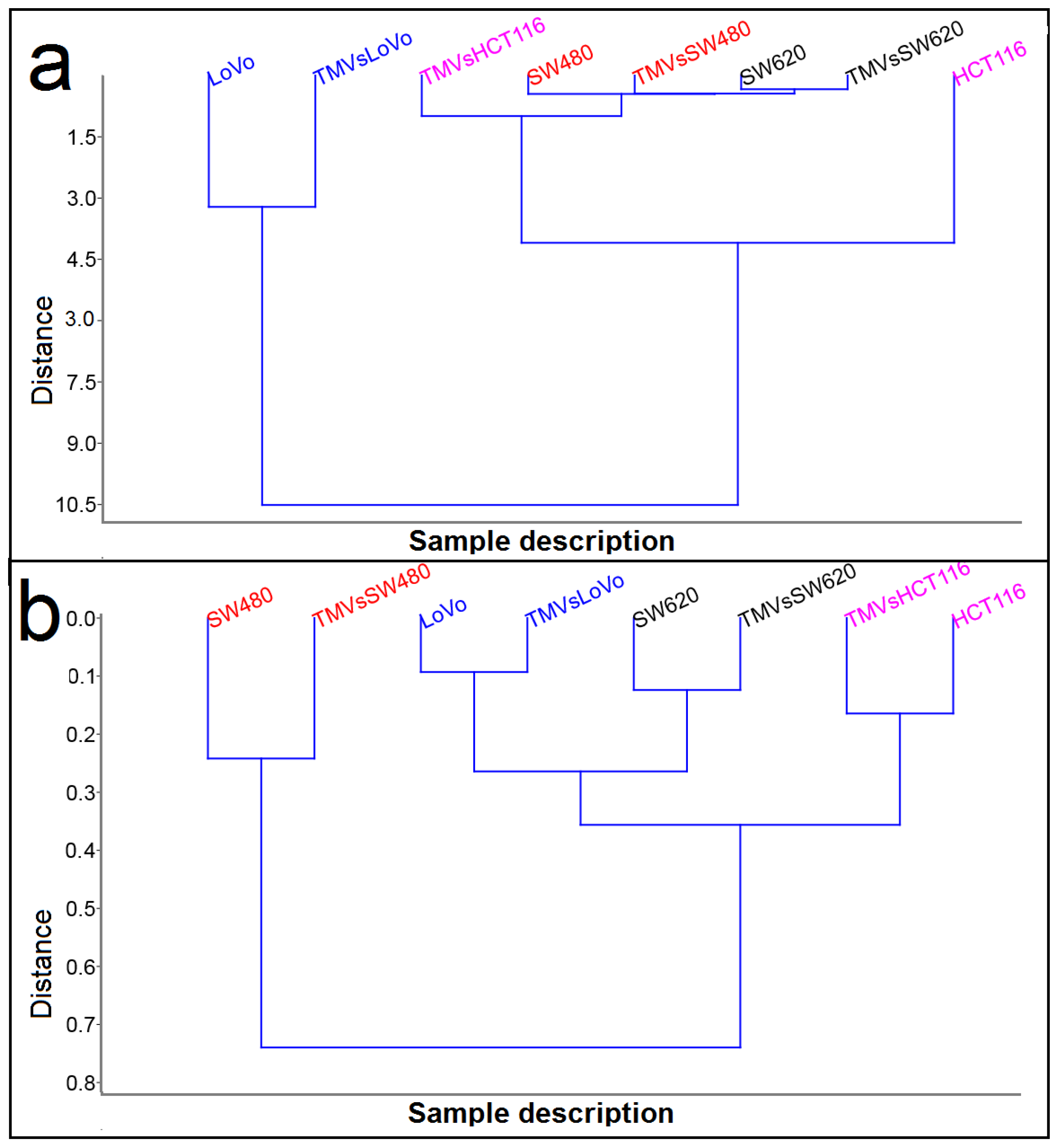 Ijms 21 01826 g007 Ijms 21 01826 g007