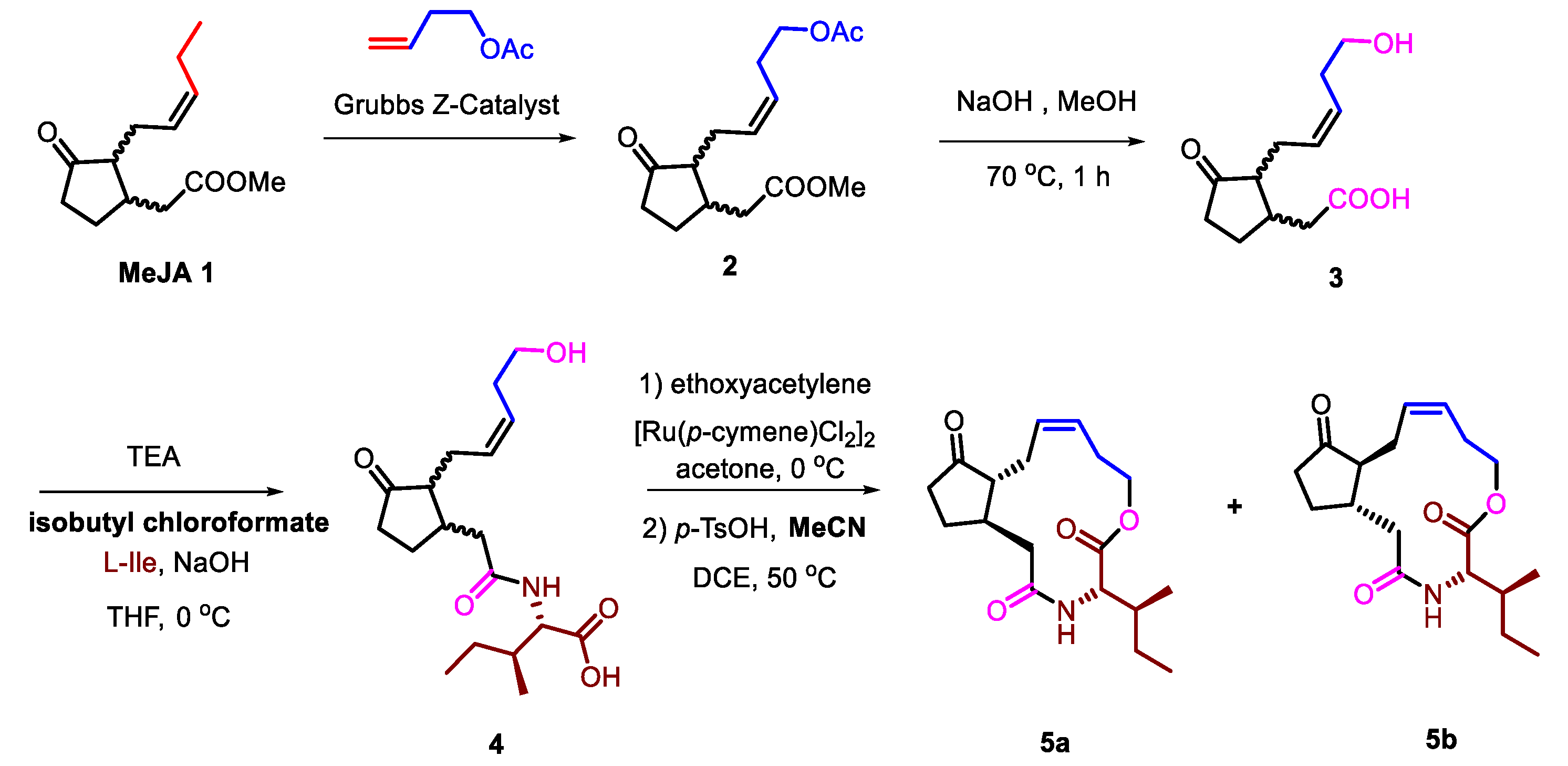 Ijms 21 01828 sch001