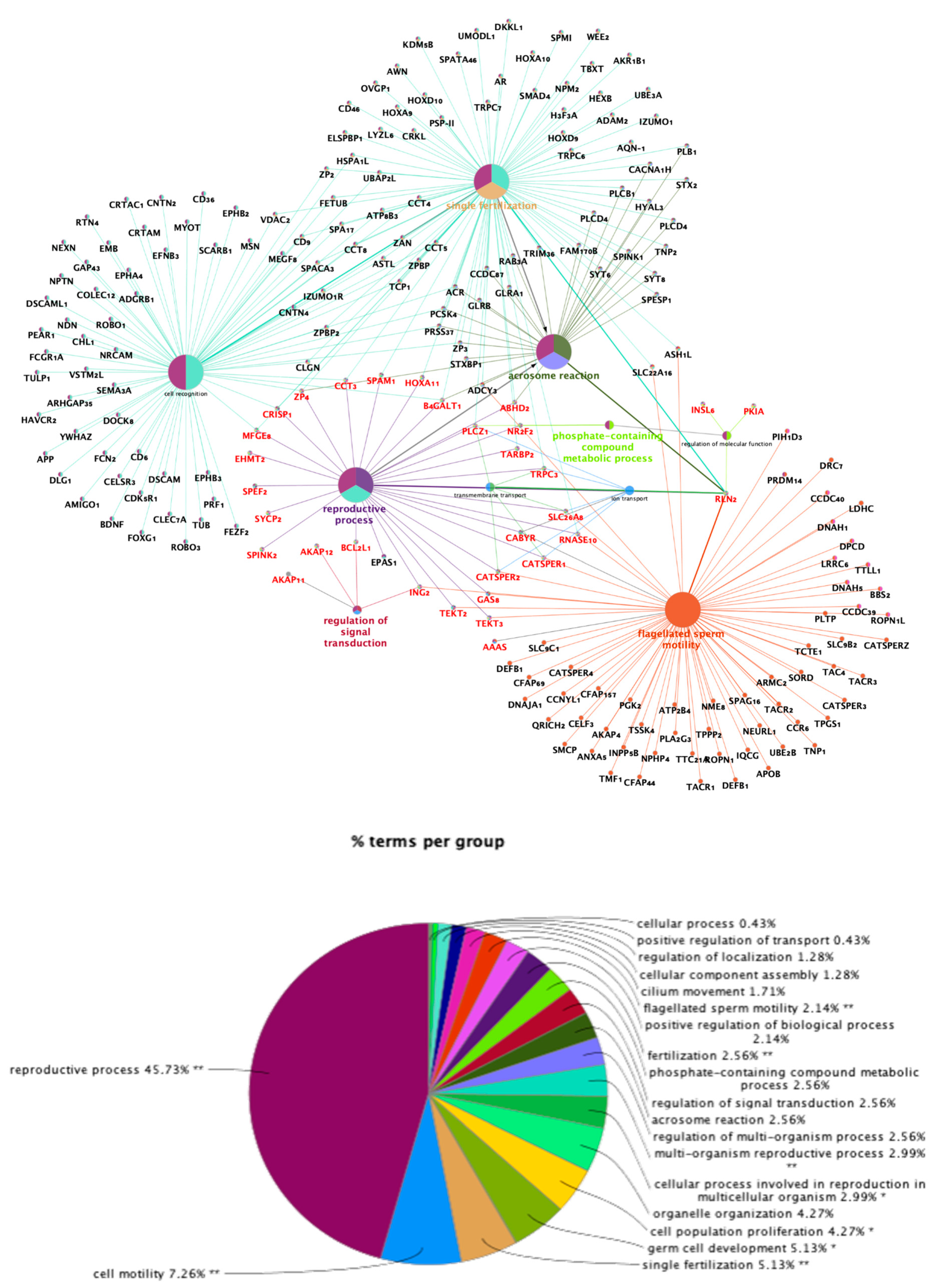Ijms 21 01840 g003 Ijms 21 01840 g003