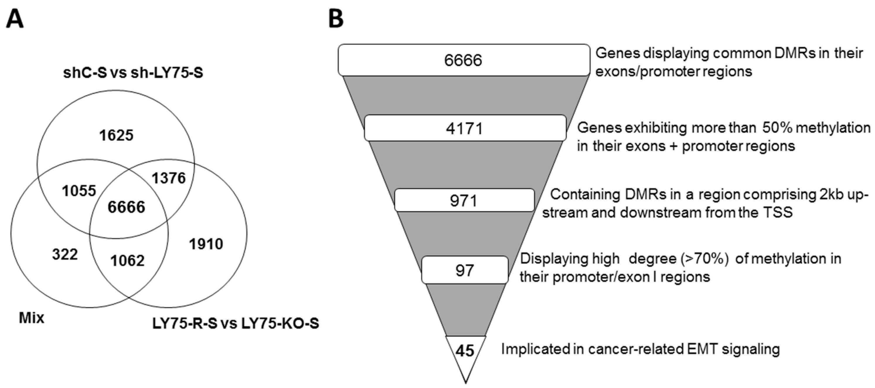 Ijms 21 01848 g001 Ijms 21 01848 g001